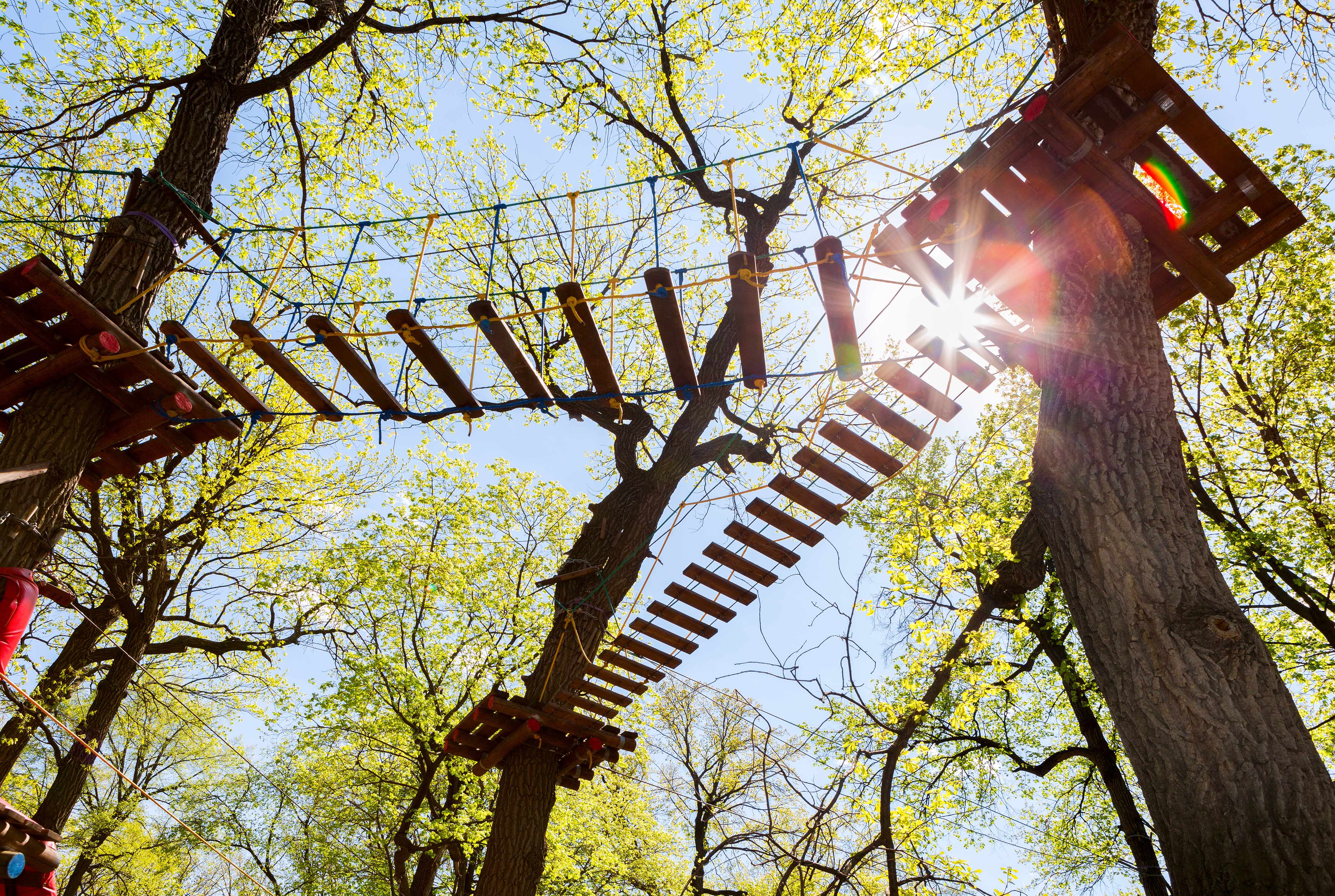 an empty high ropes course