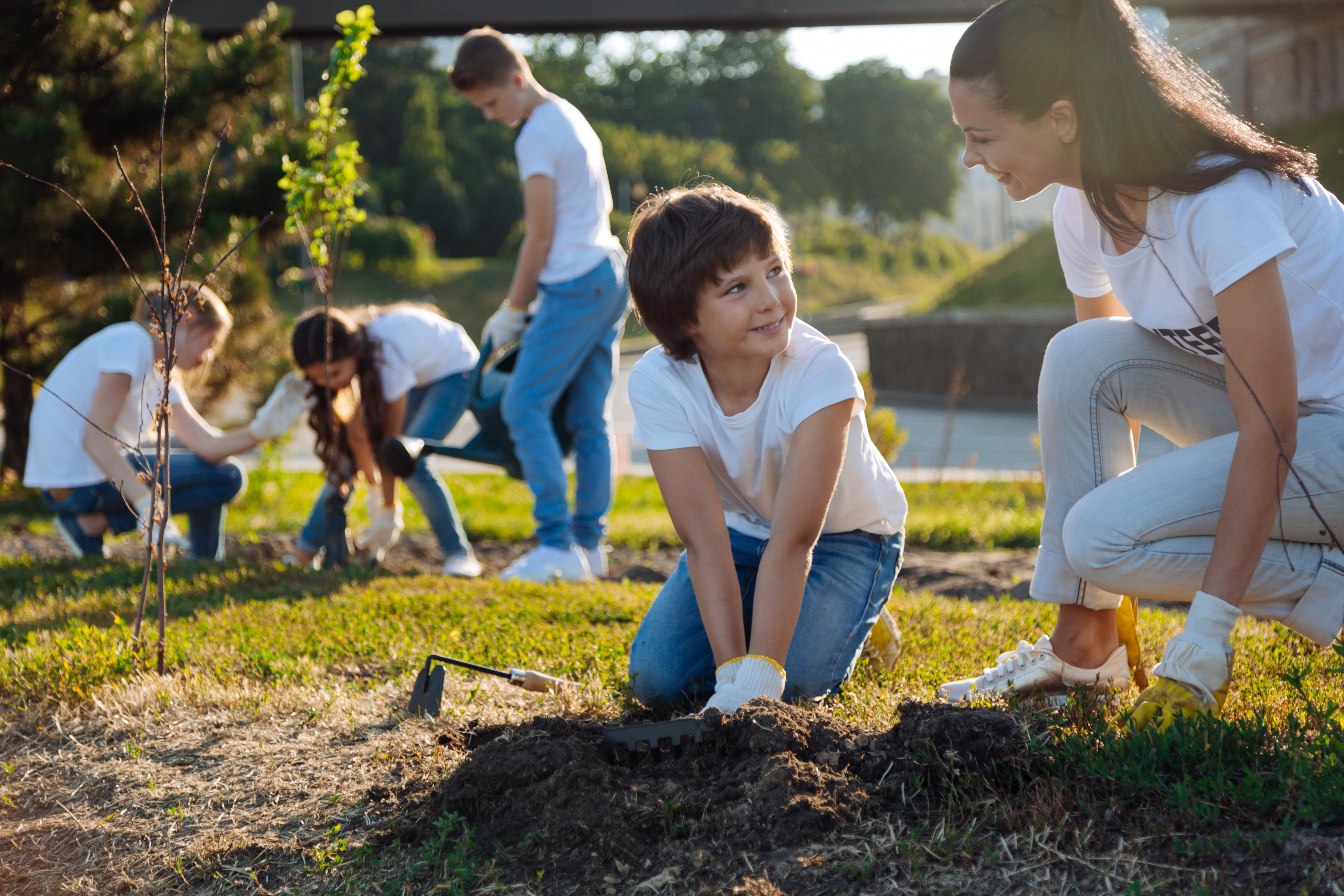 A child plants a tree with the help of an adult