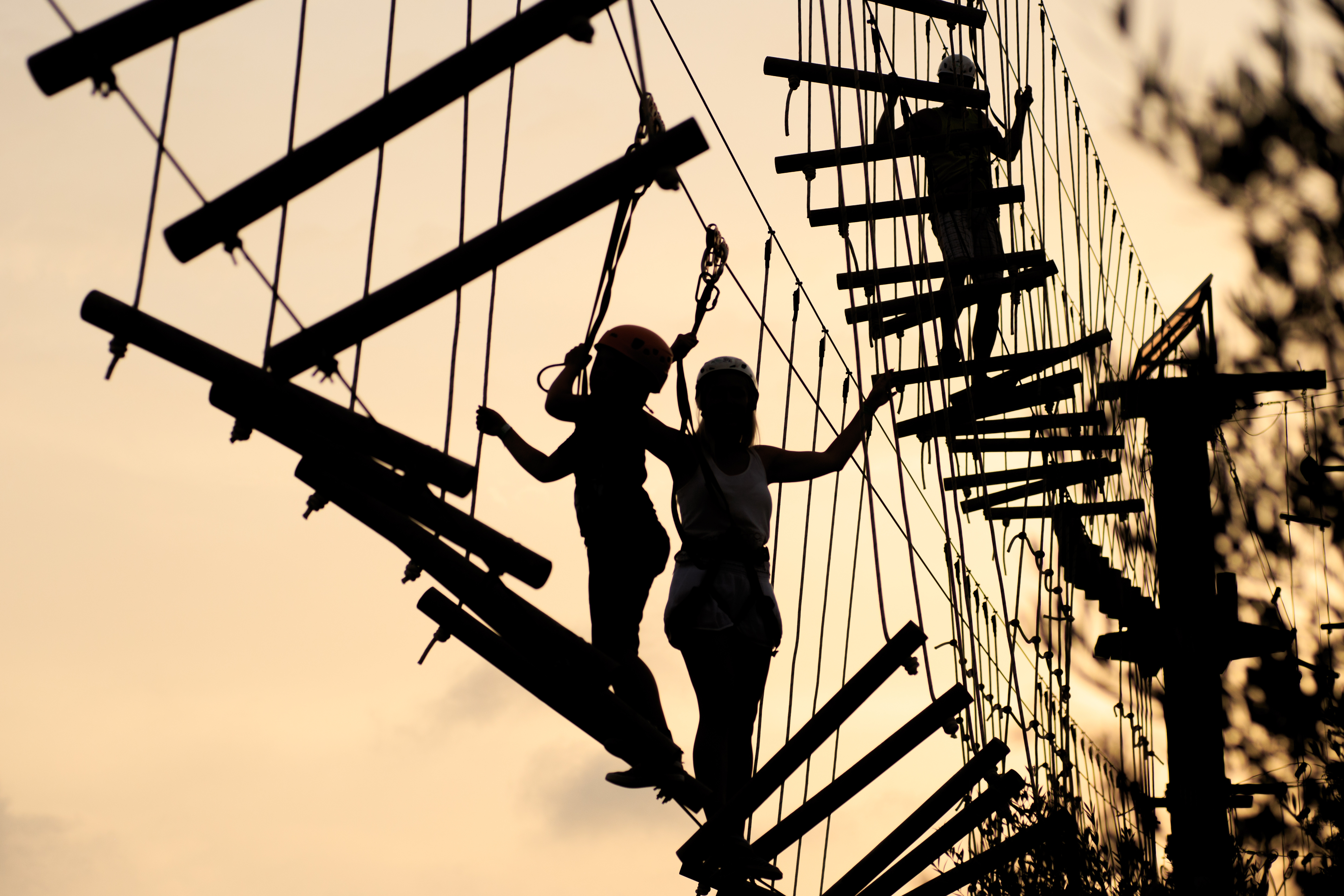 high ropes elements at sunset