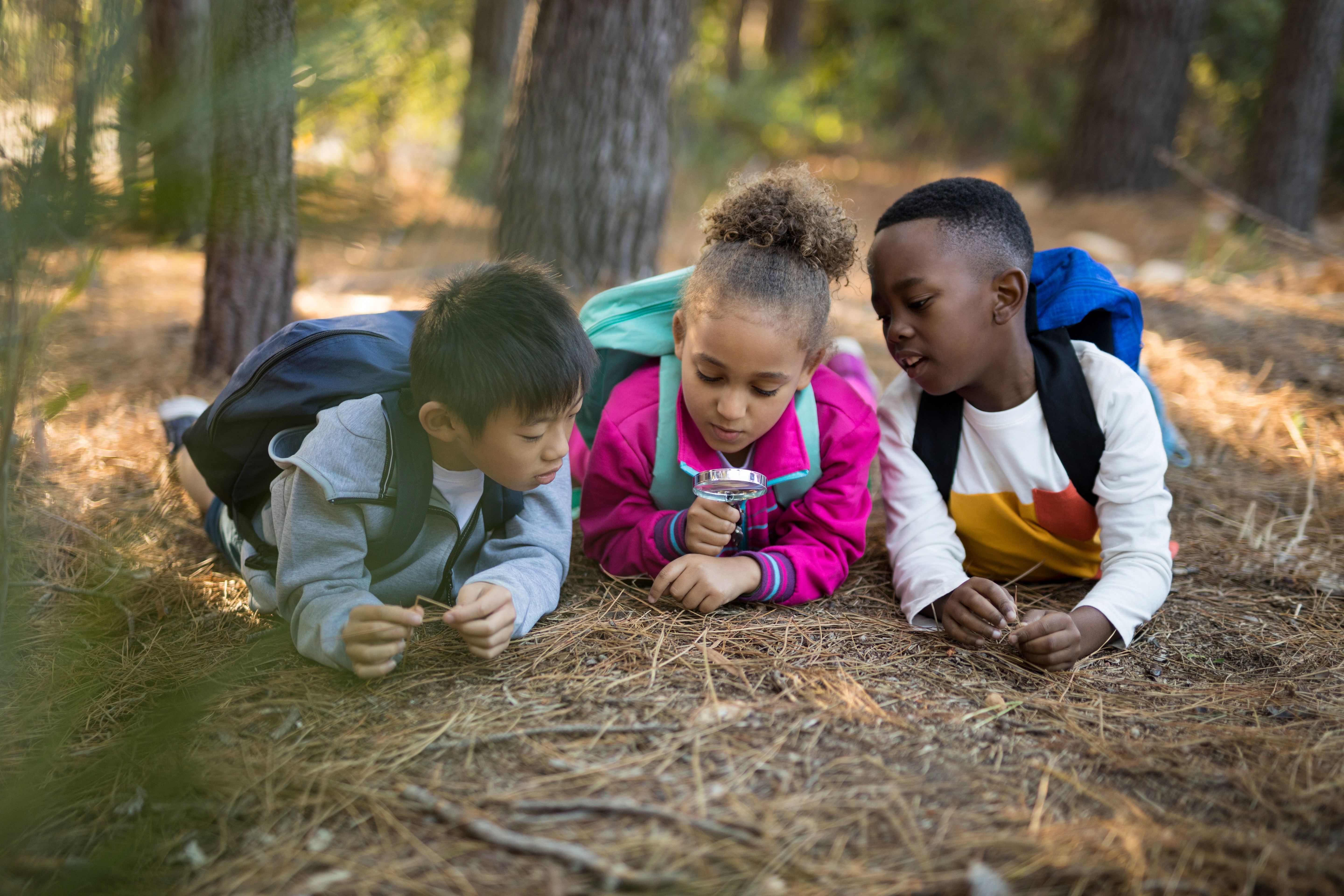 Kids examining the ground