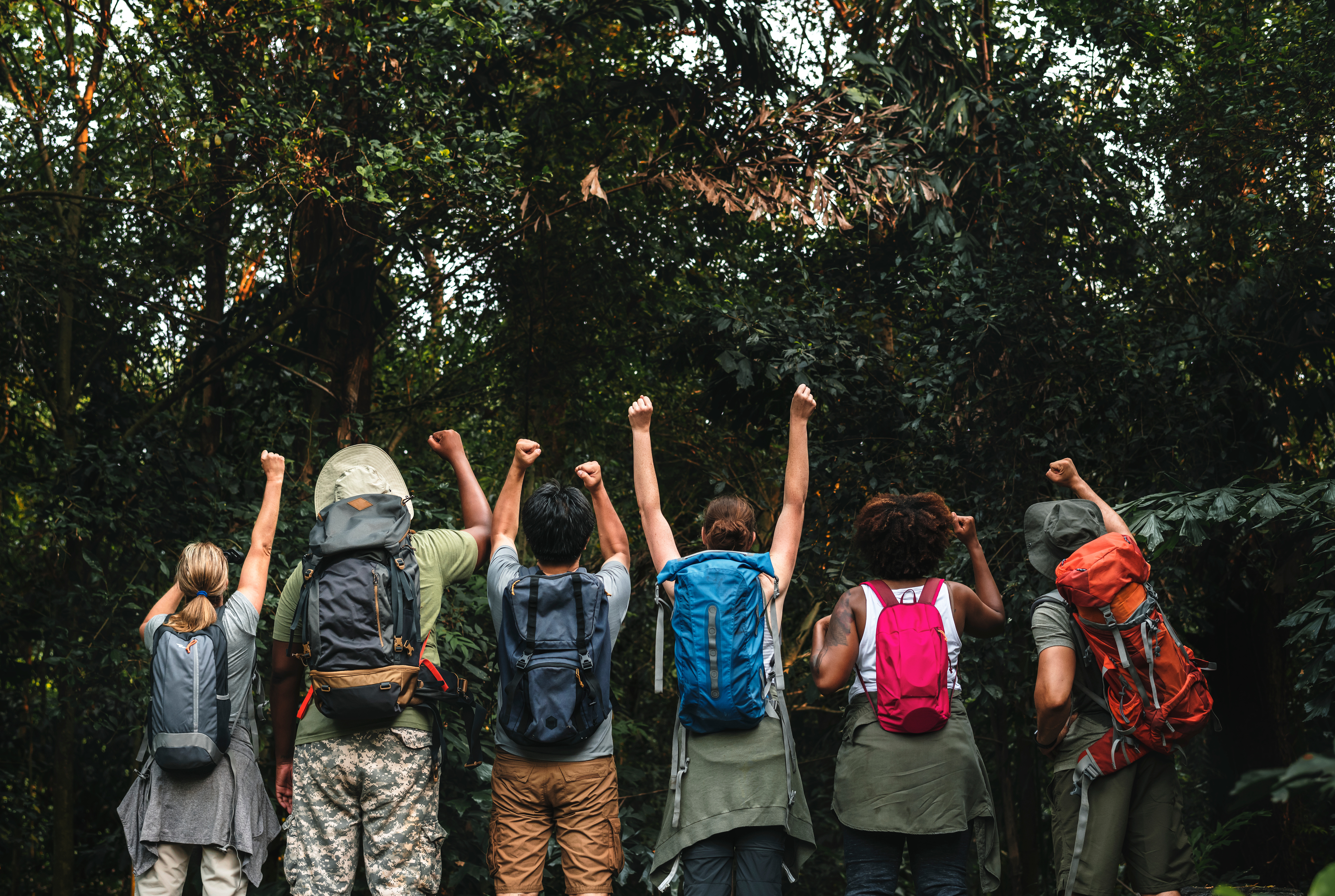 campers face away and hold their hands in the air