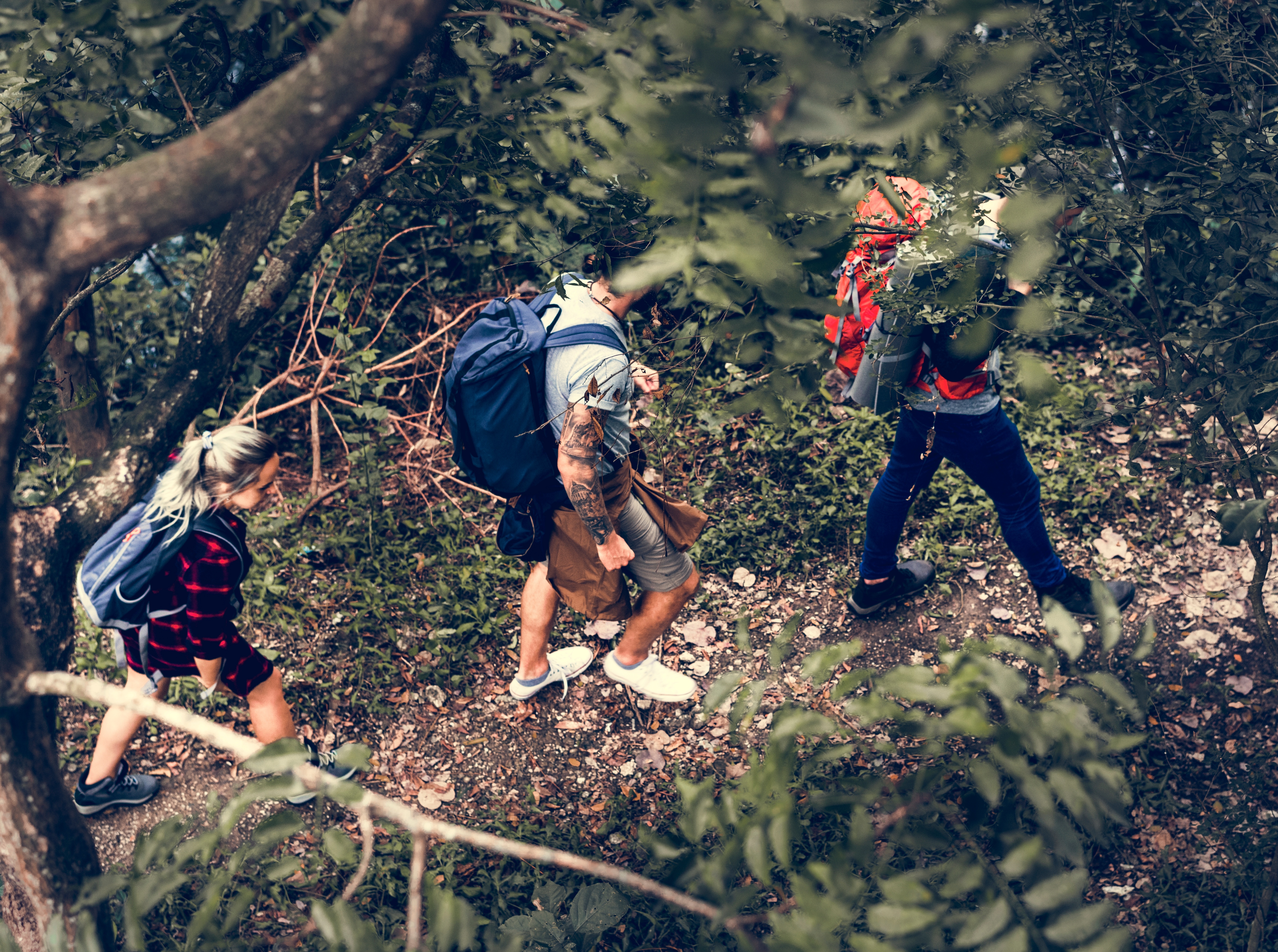 Three people walk down a trail and we see them from above.