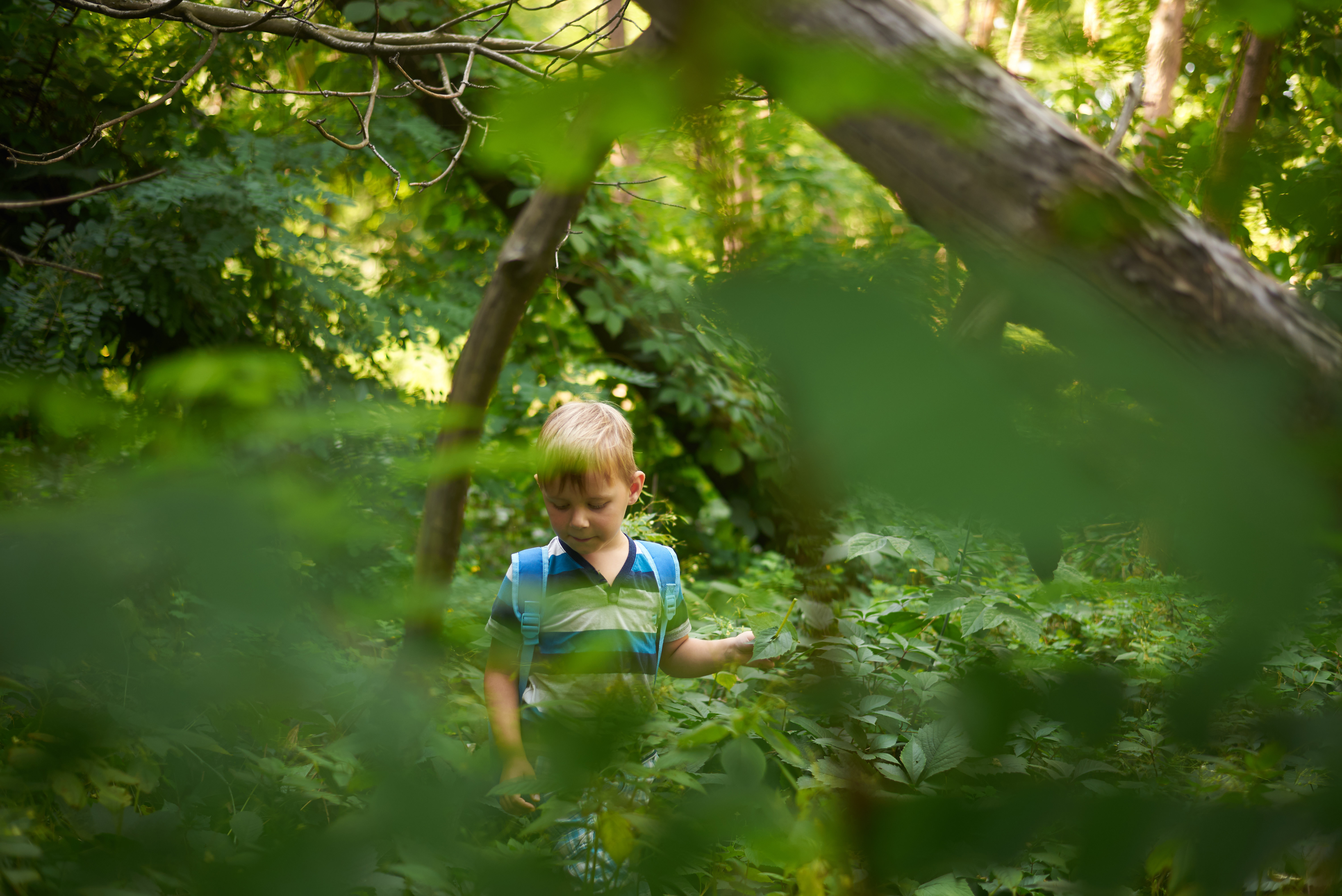 A young boy is visible through the leaves of trees