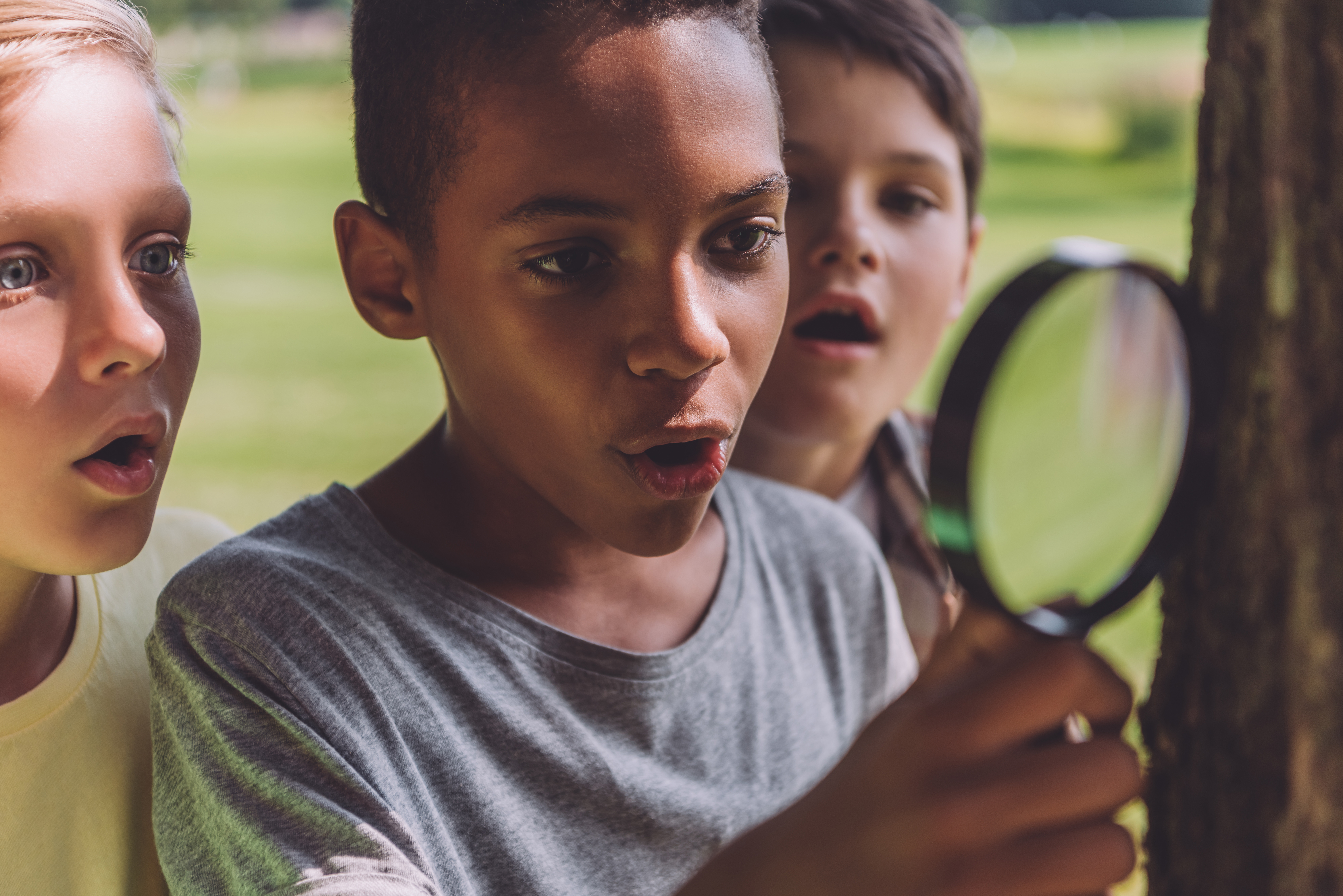 kids examine a tree with a magnifying glass
