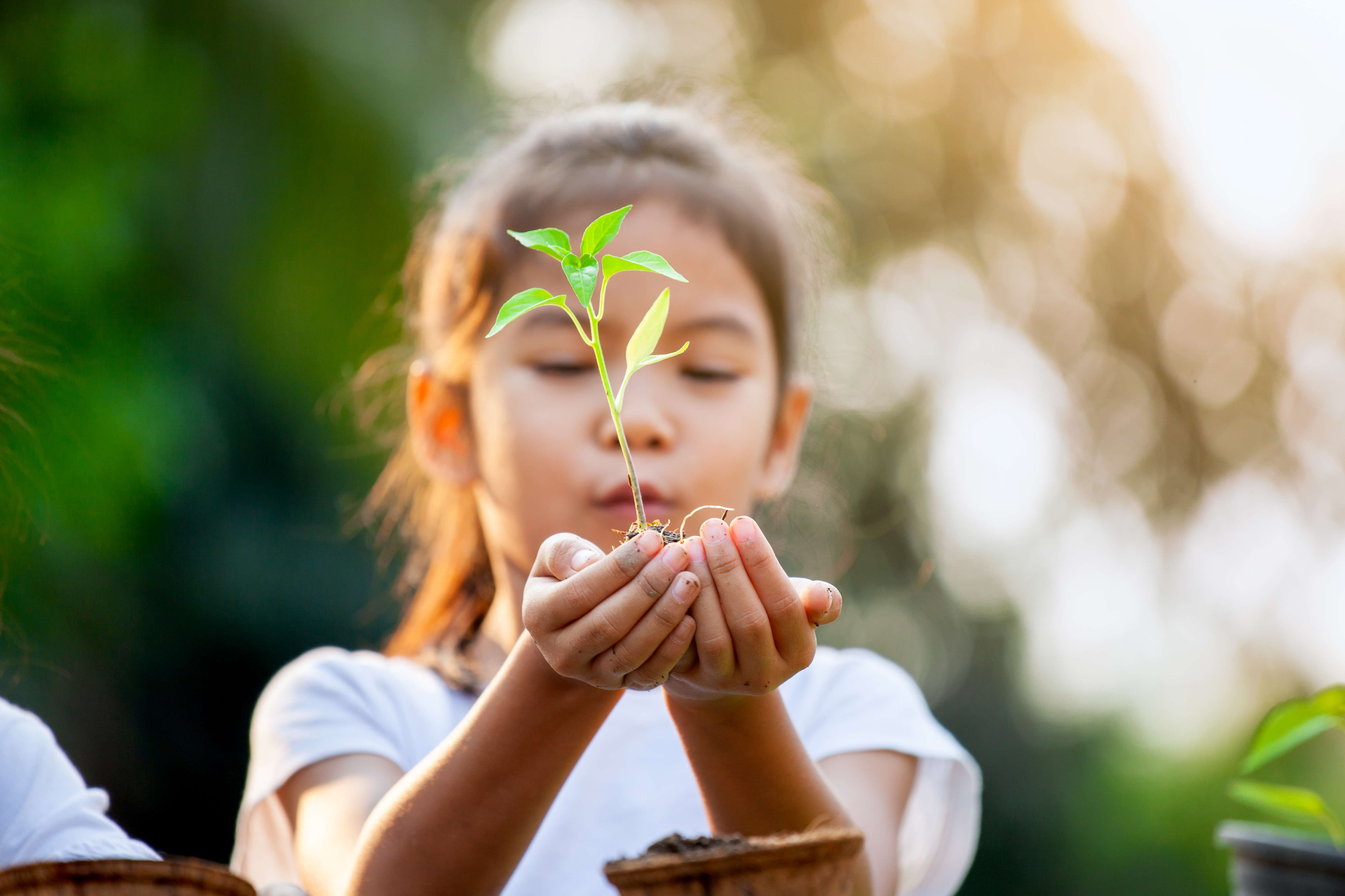 girl holding a plant in her hands