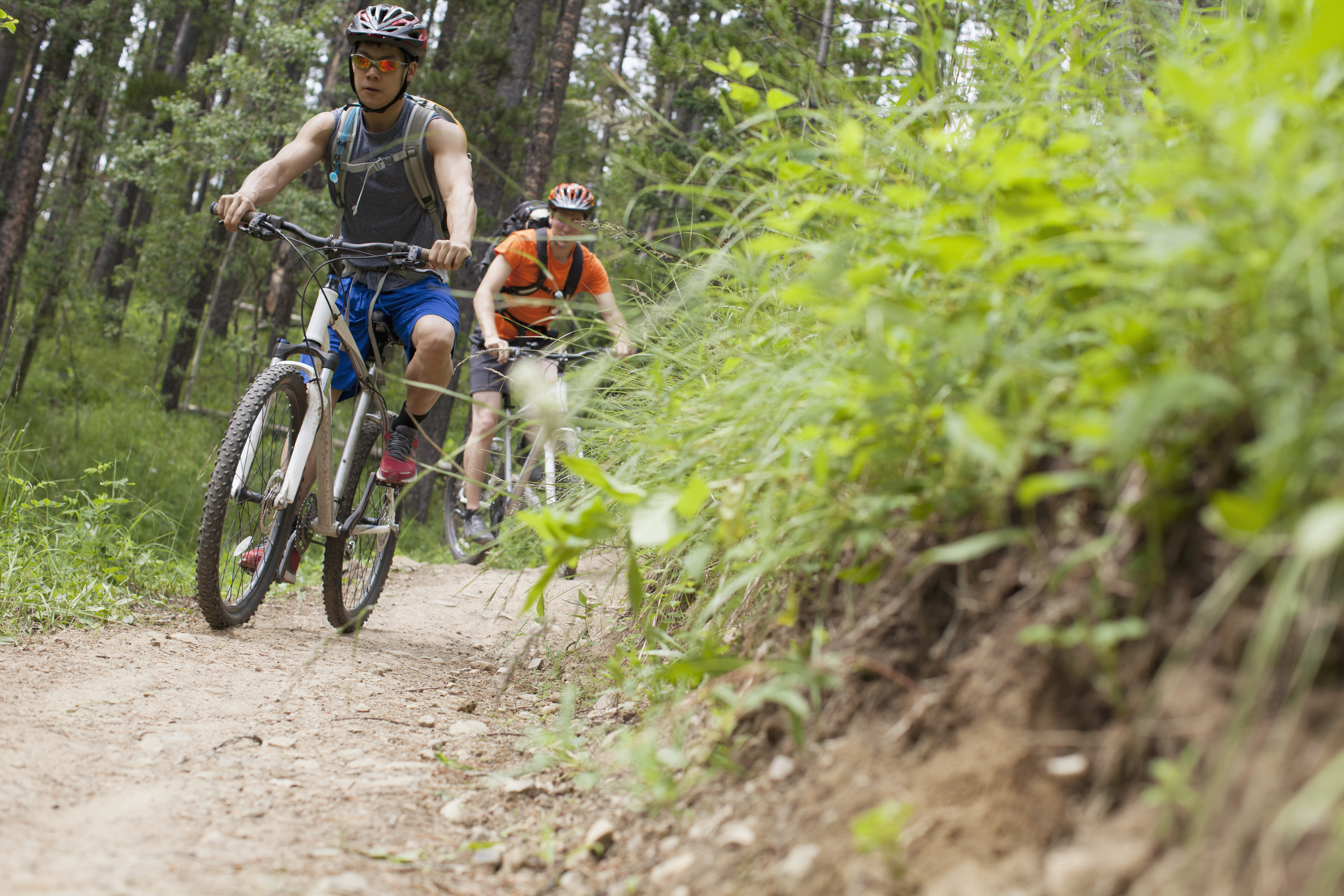 two mountain bikers on a trail