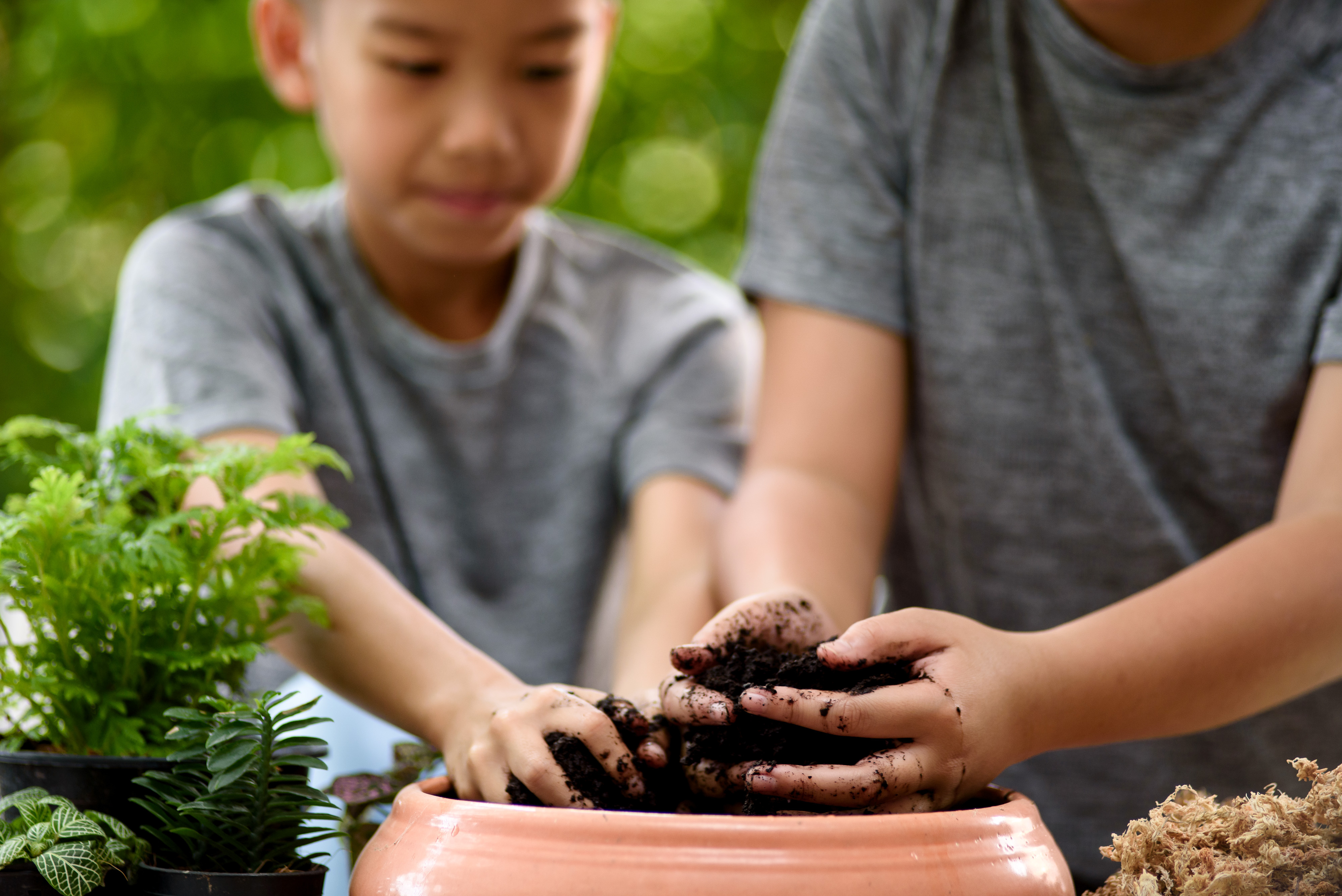 Two people put their hands into a pot of dirt.