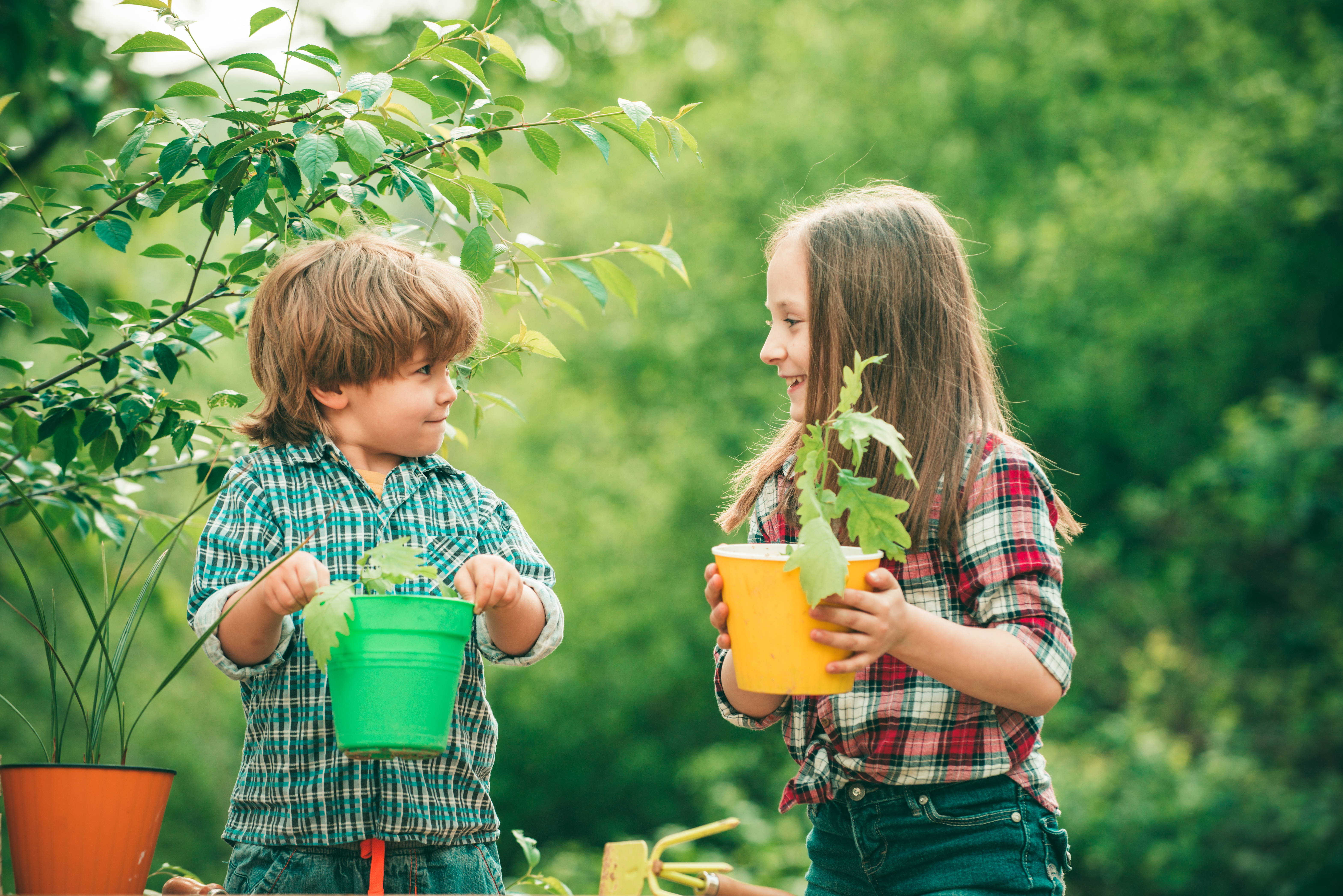 two kids hold potted tomato plants