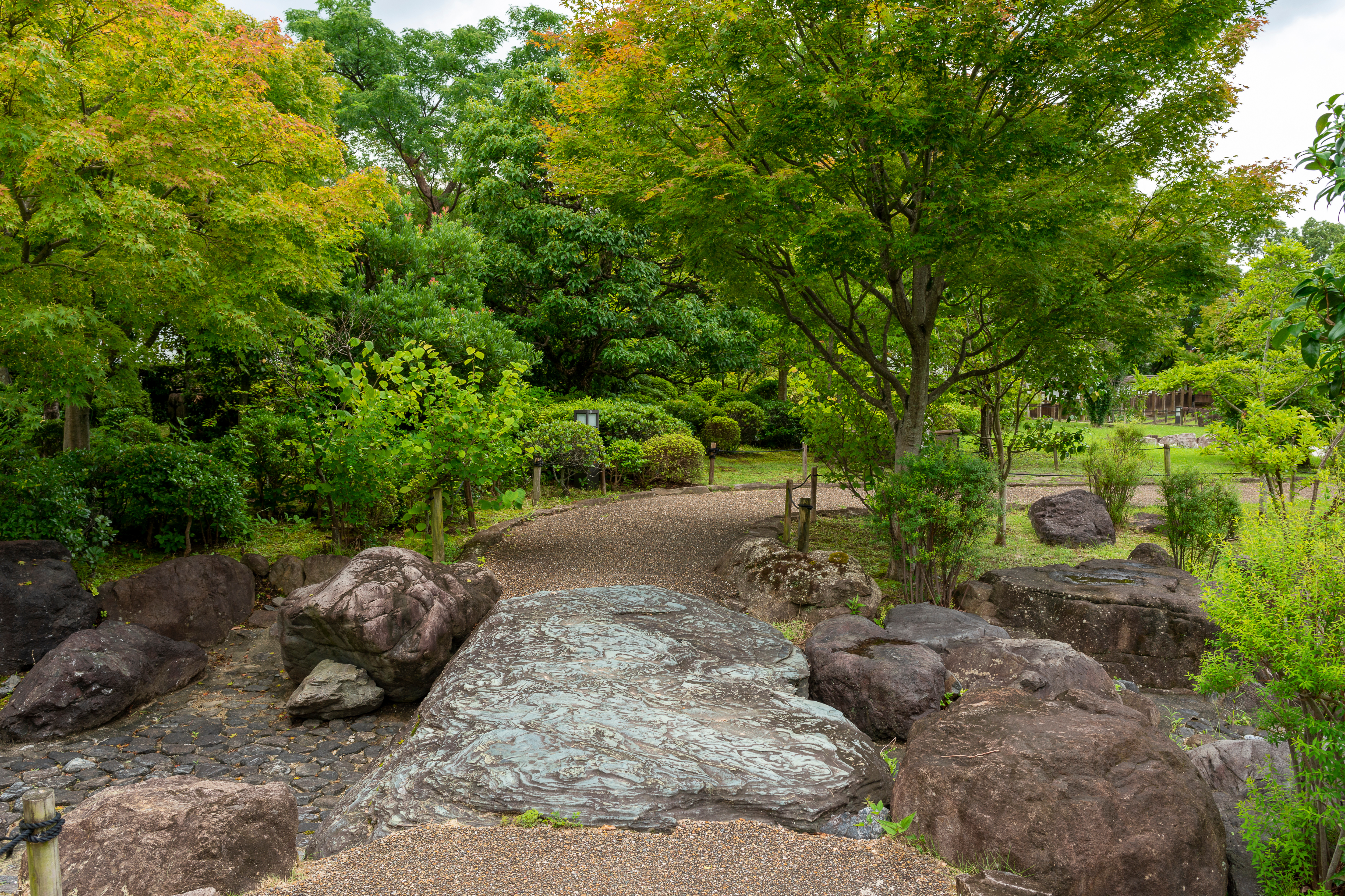 A garden path is lined with many trees and rocks