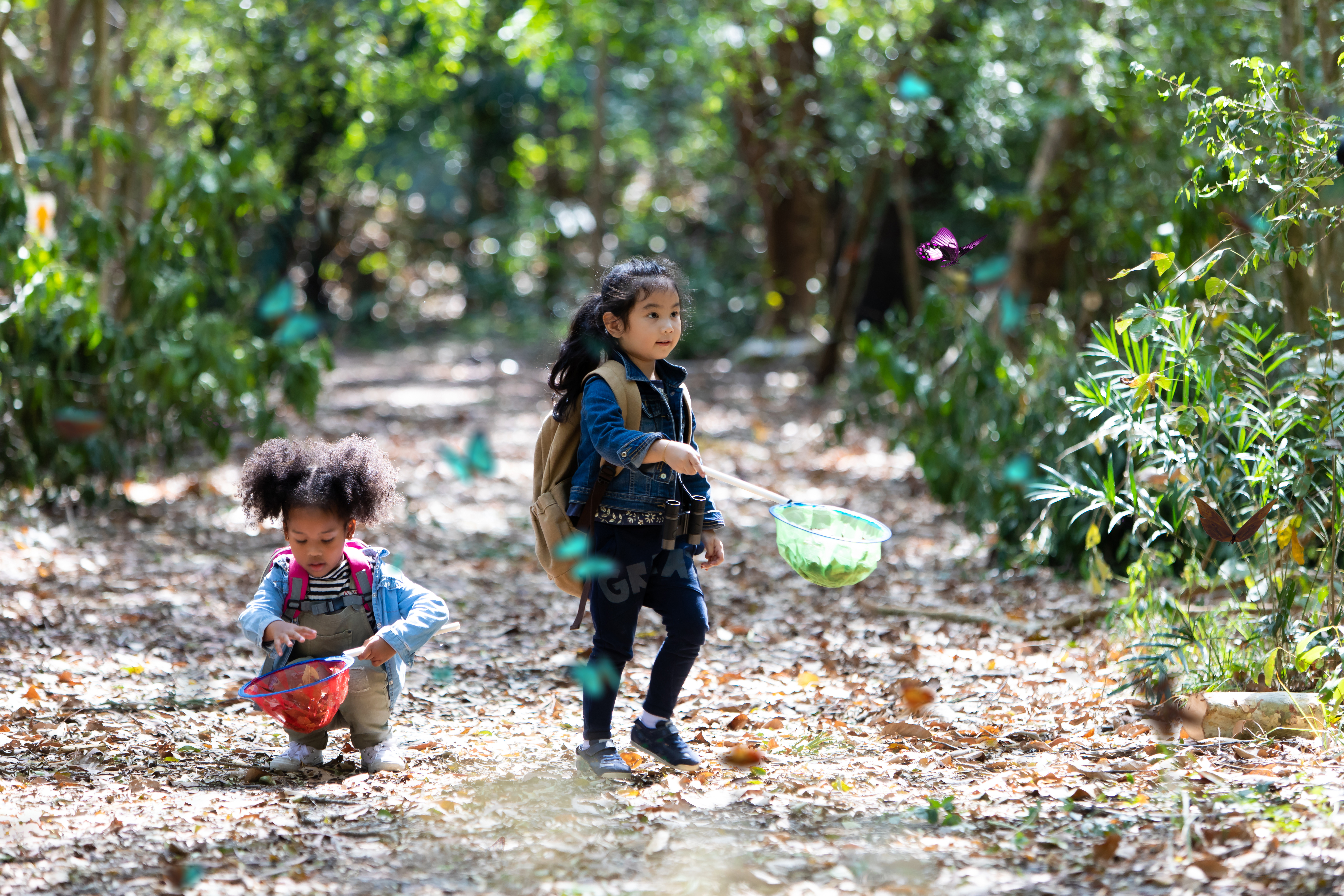 two kids explore in the woods