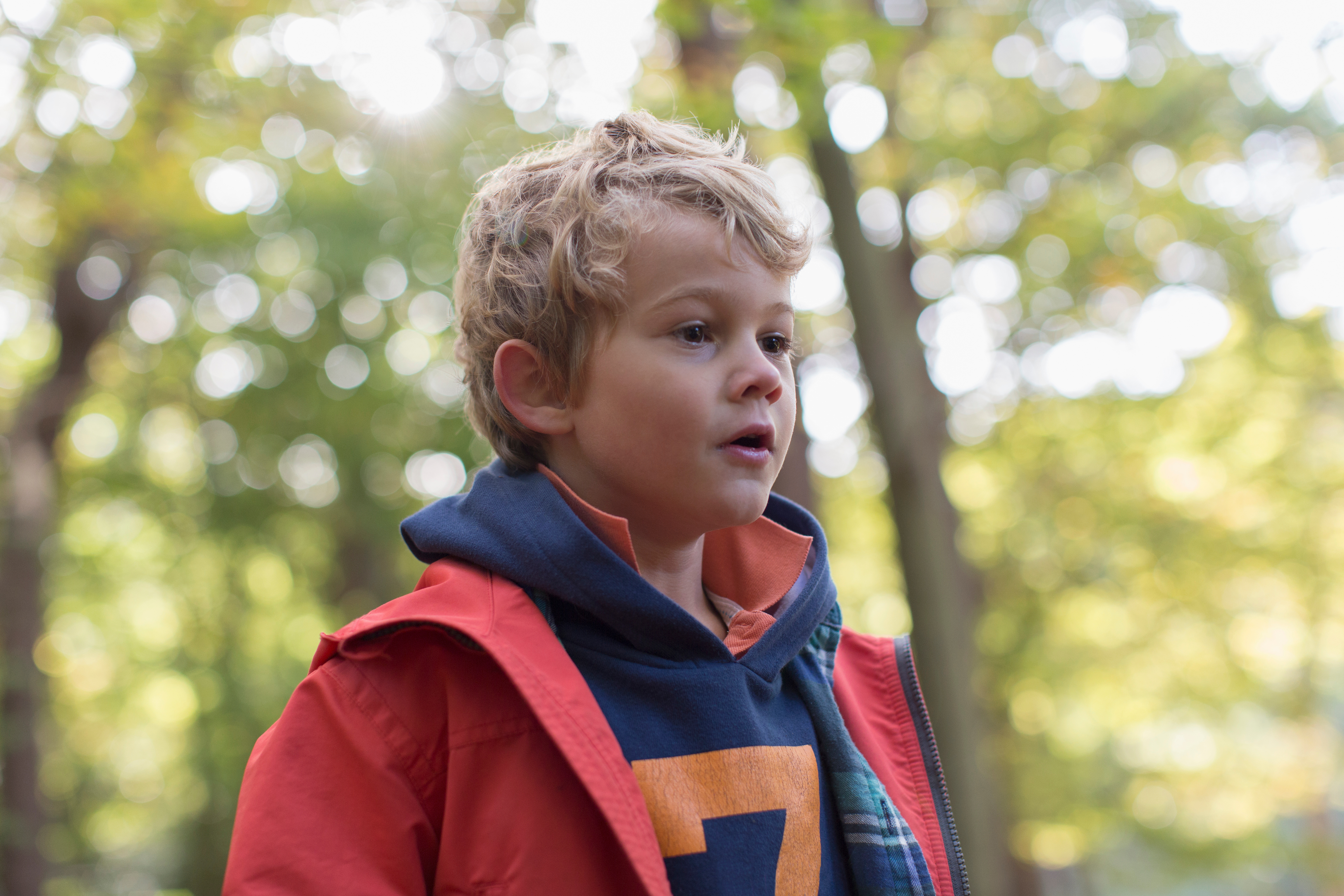 A small boy stands in front of some trees