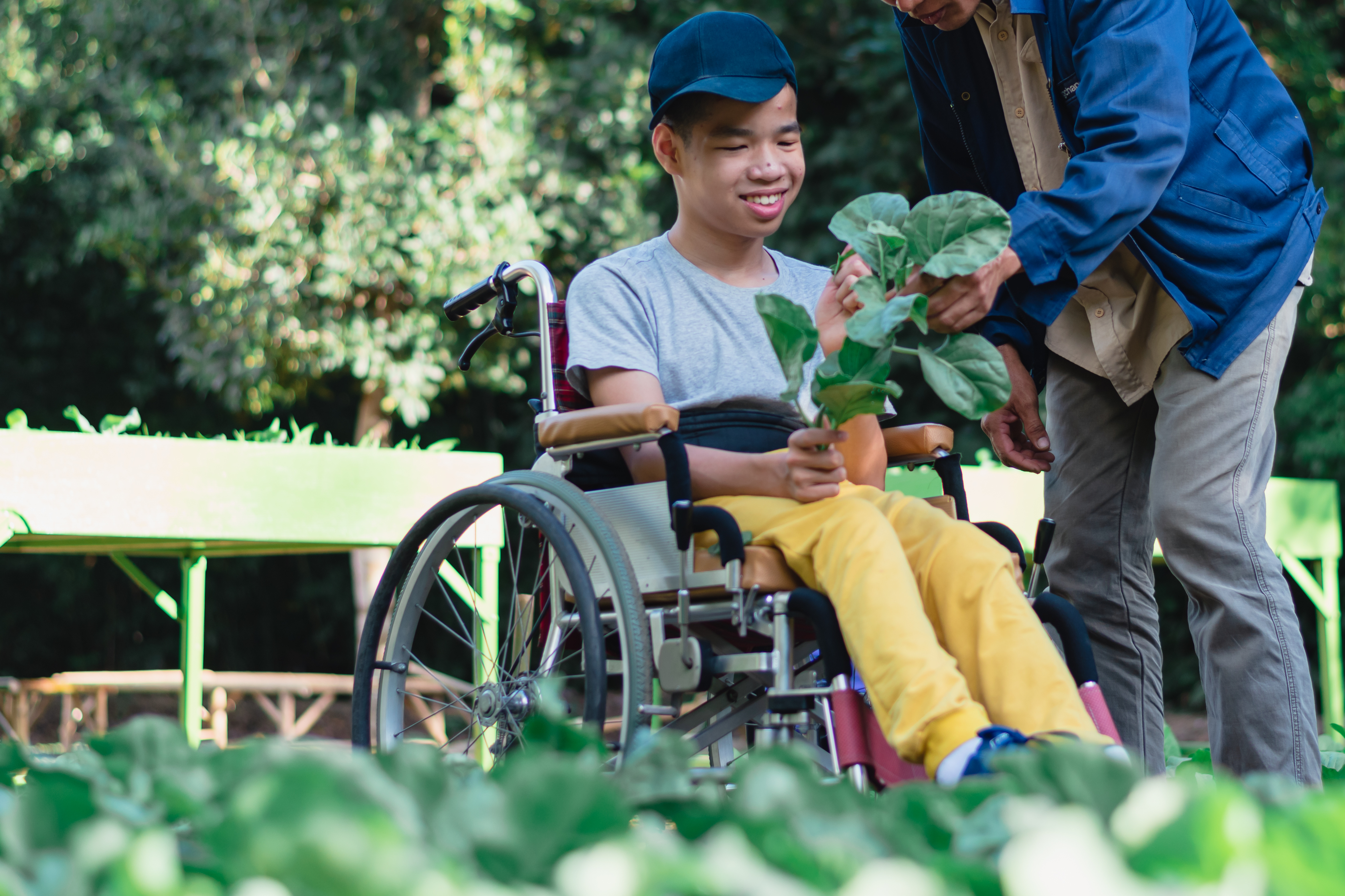 A young man in a wheelchair uses a school garden