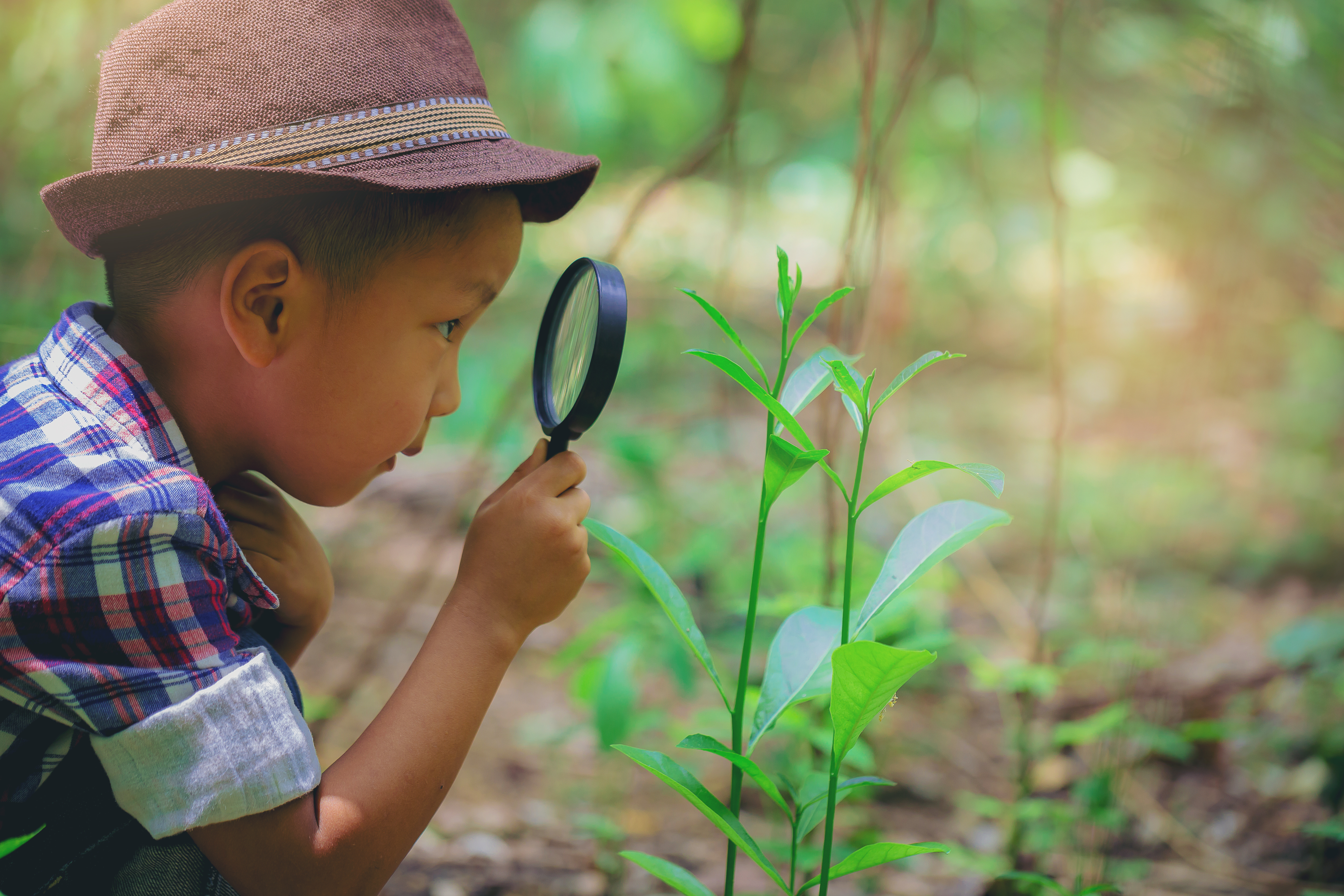 A child closely studies a plant with a magnifying glass