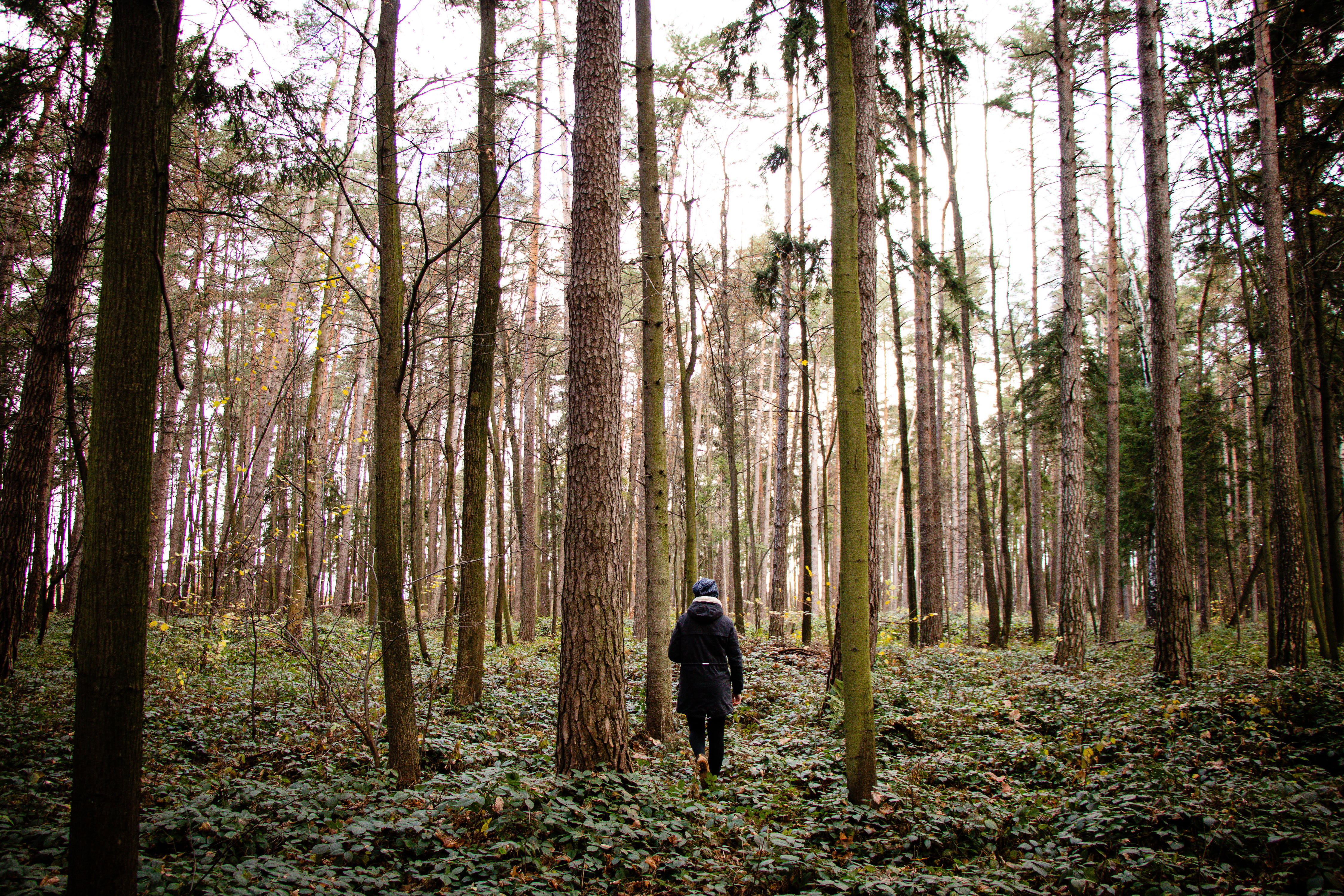 A person stands with the back to the camera in a wooded area