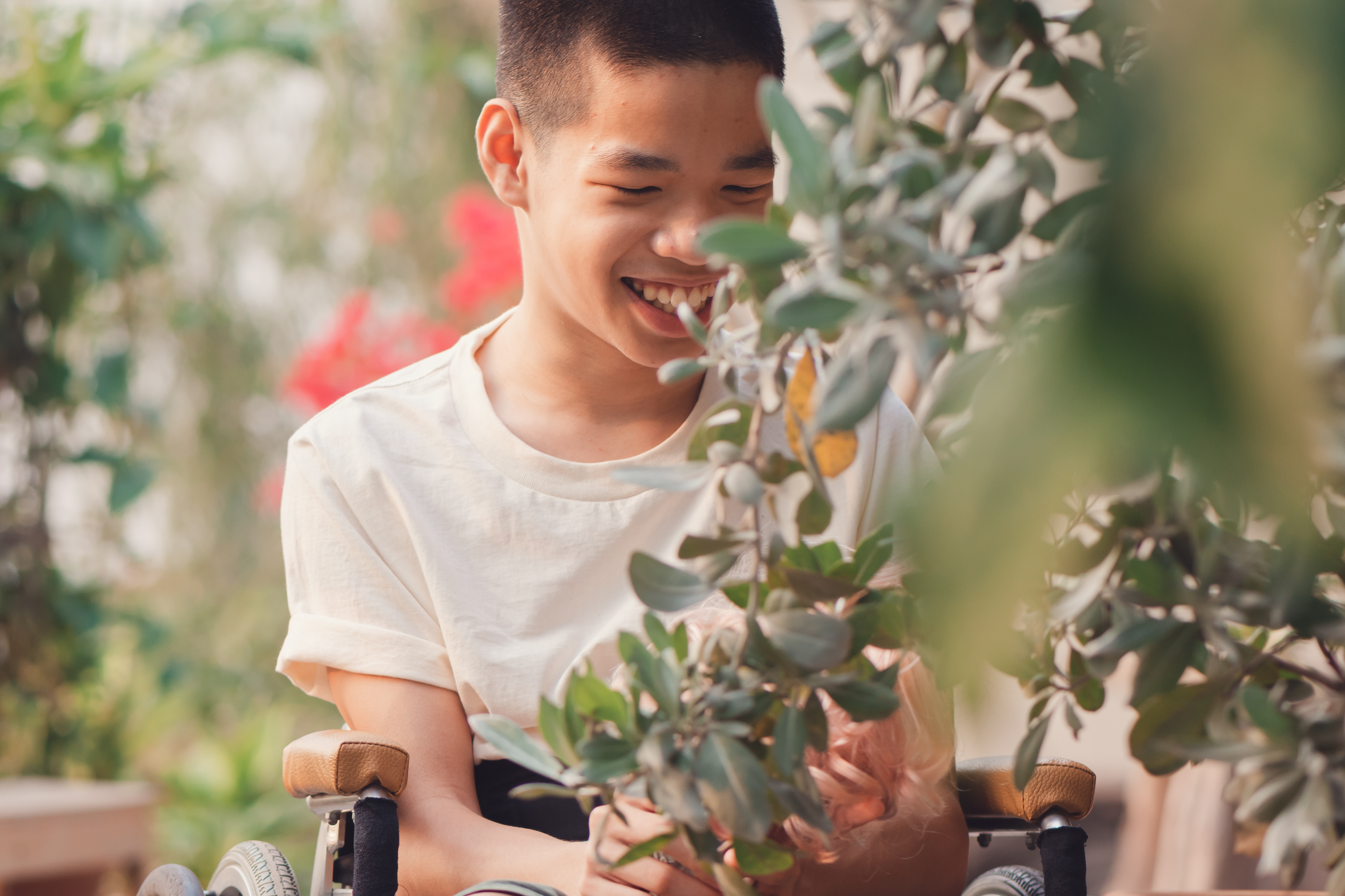A young man sits in a wheelchair next to a plant