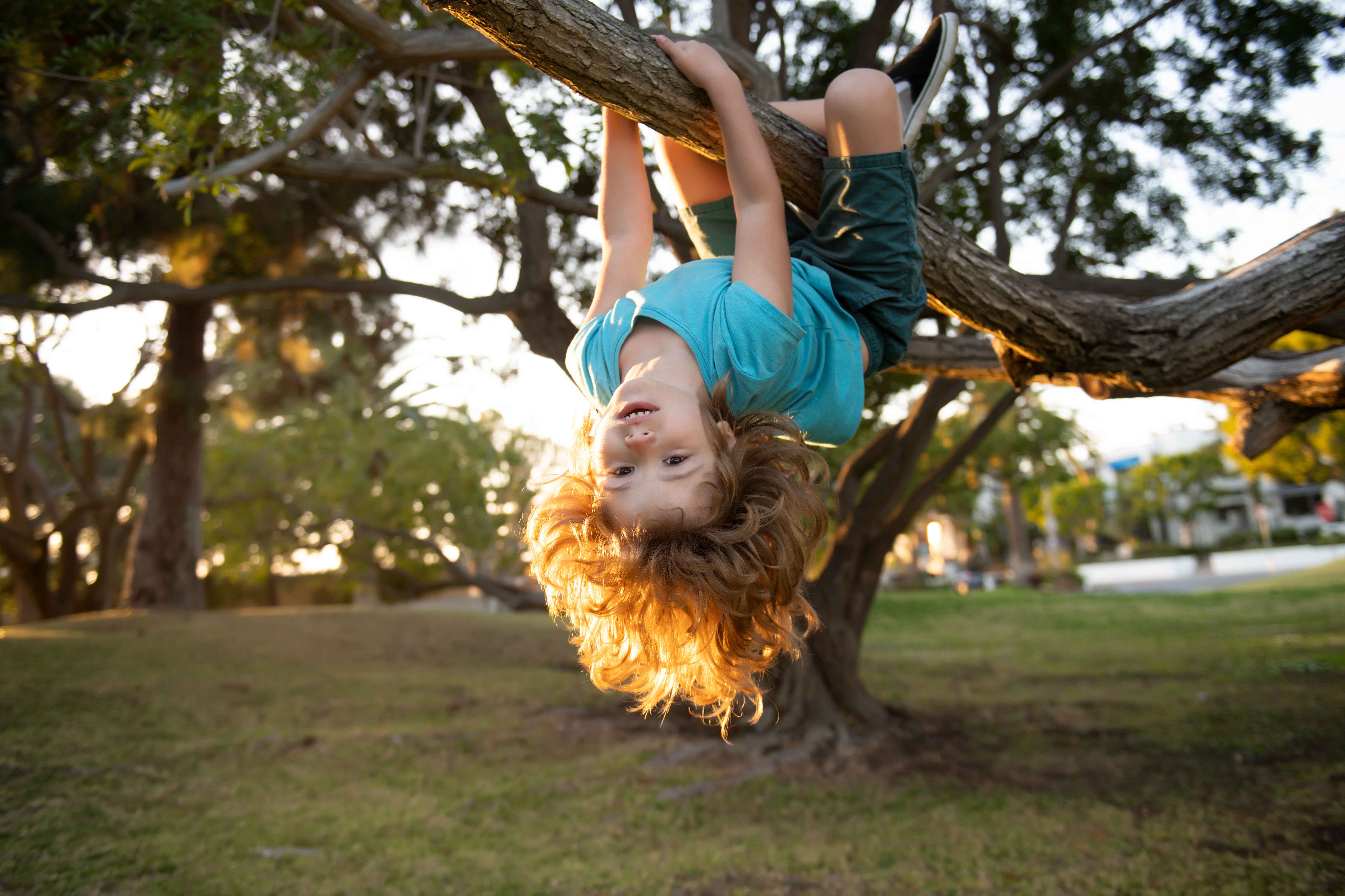 A kid hangs upside down on a tree