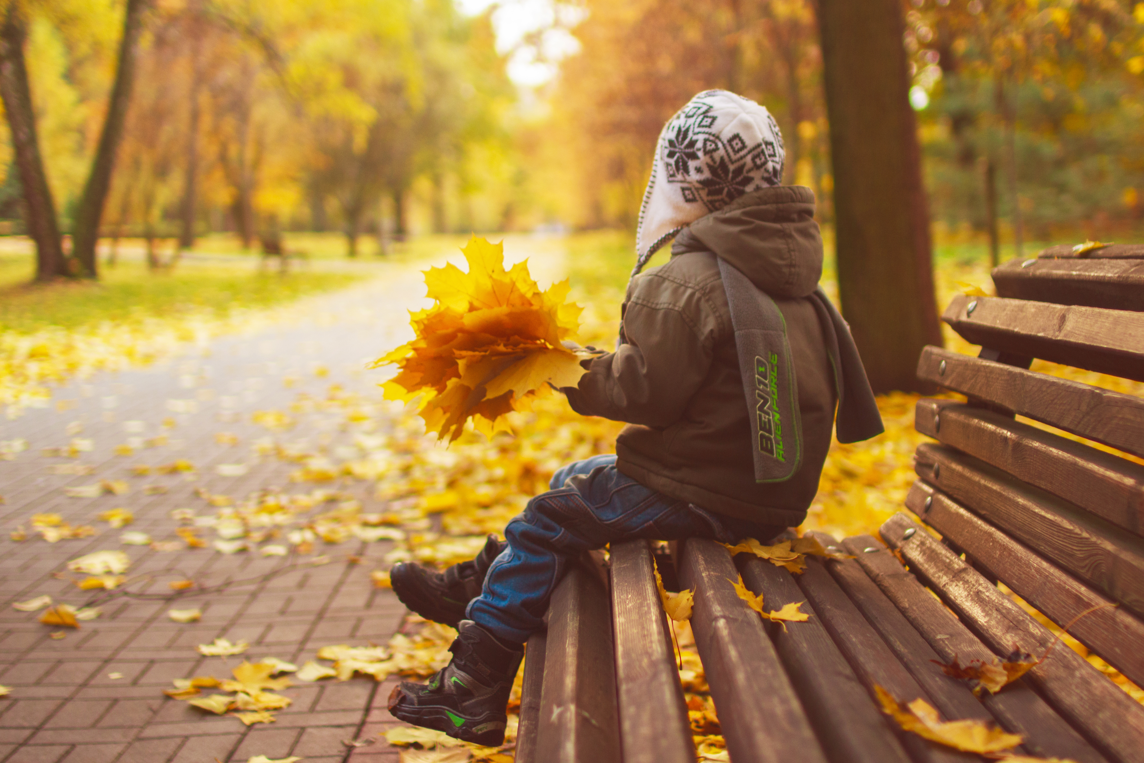 a child sits on a bench with autumn leaves