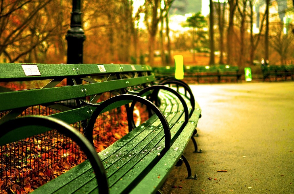 A lonely park bench somewhere