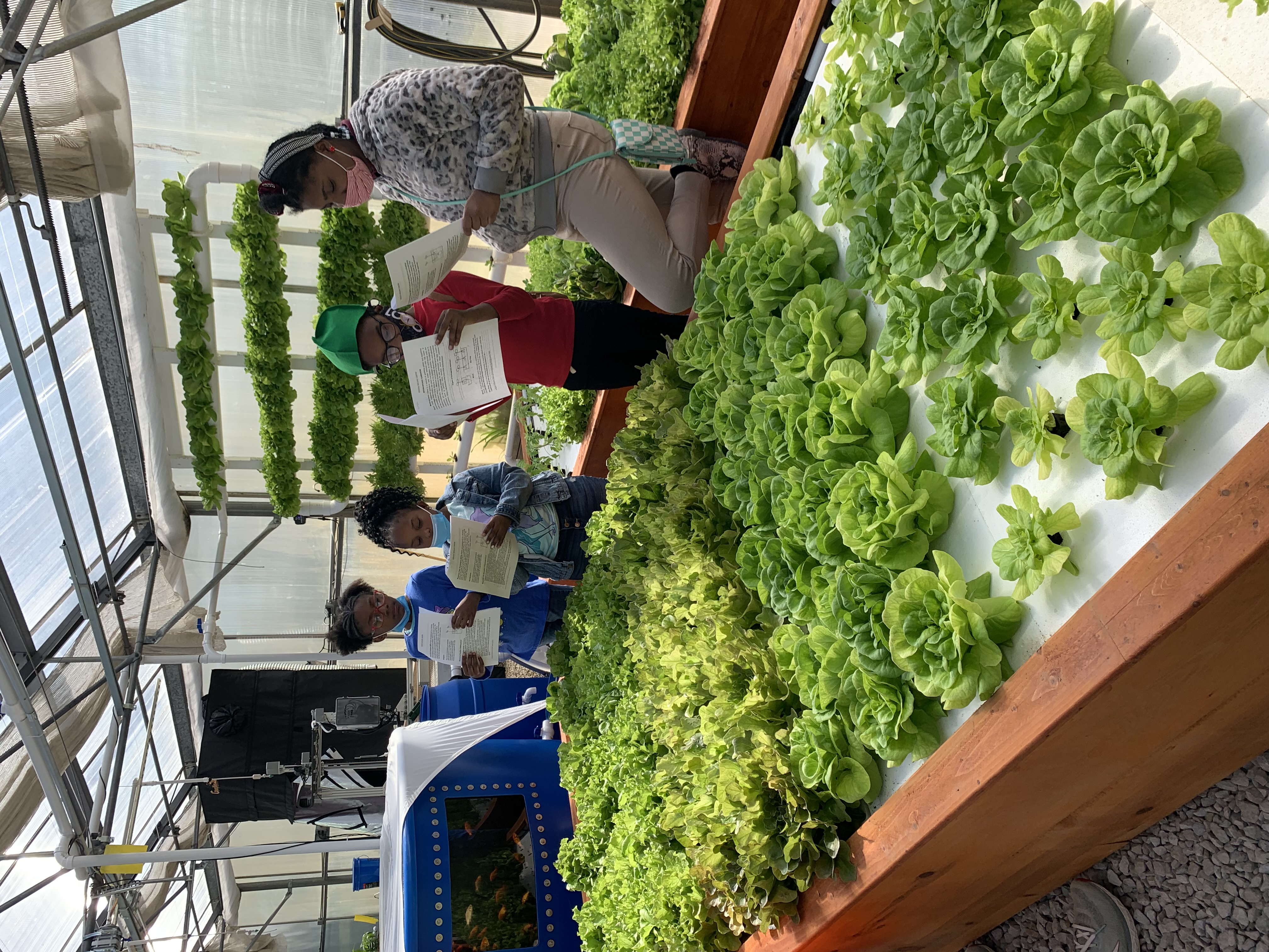 Students at the Jackie Joyner-Kersee Center work in a greenhouse