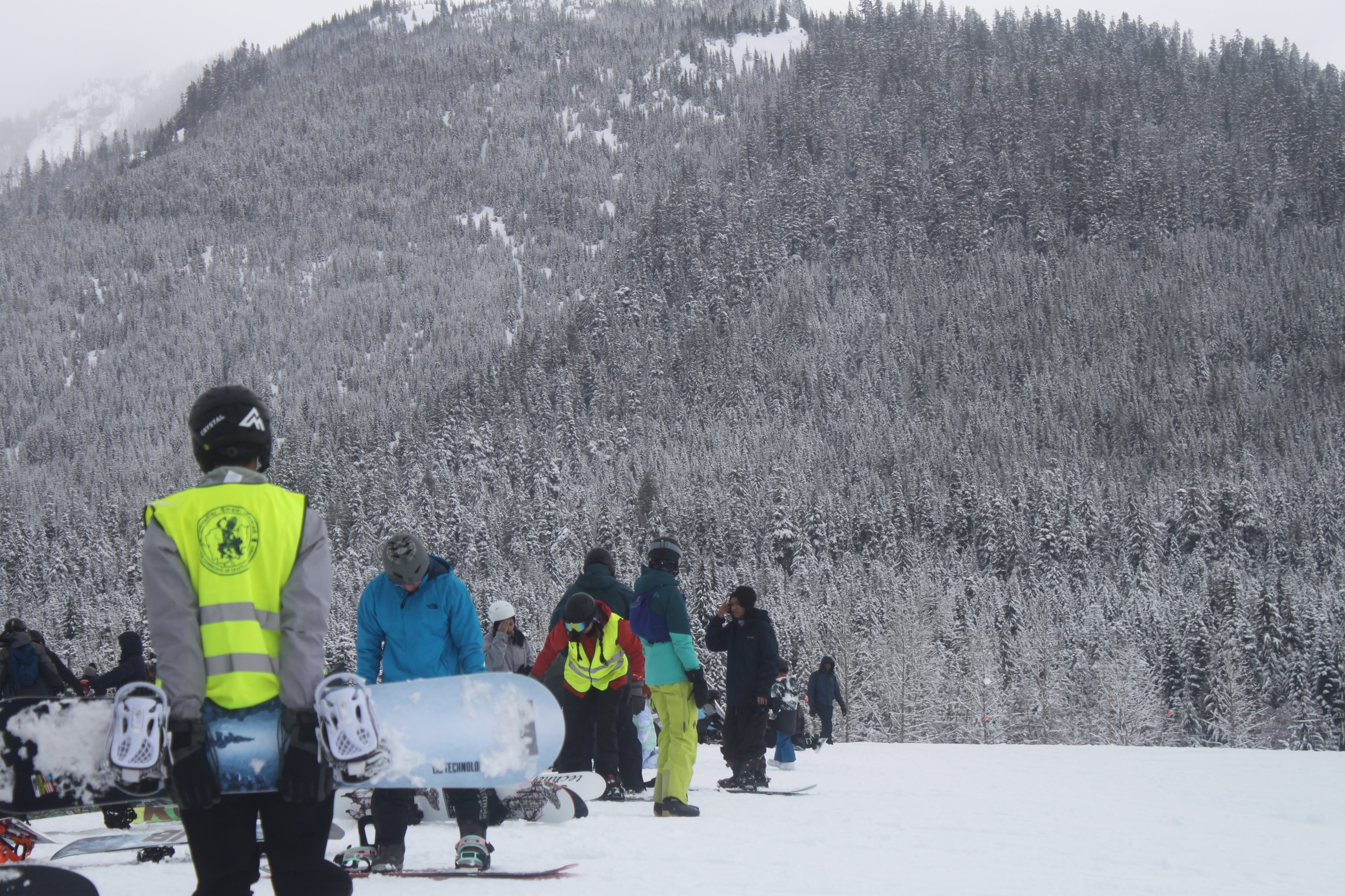 Young people snowboard in front of snowy trees