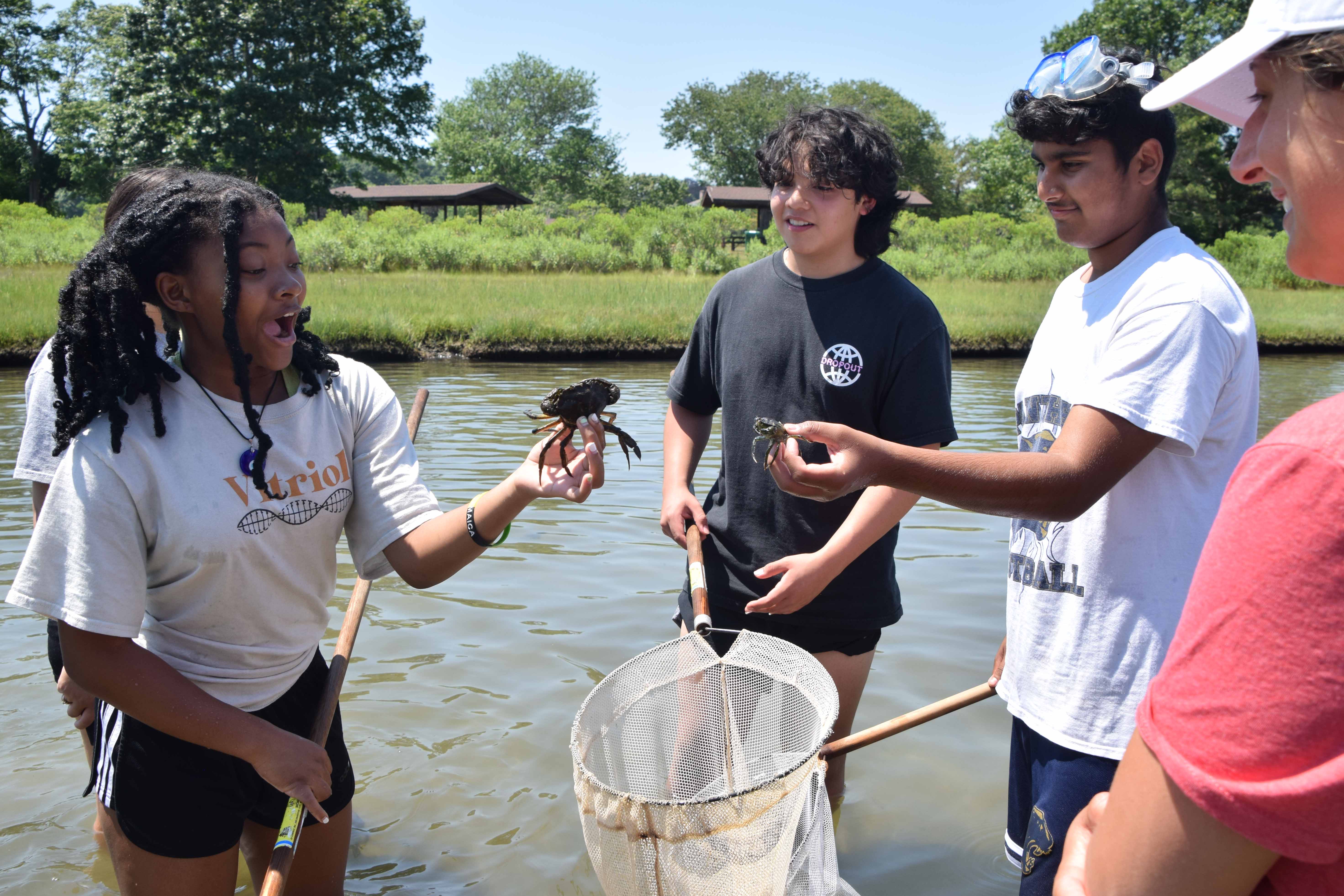 a group of teens pull critters out of a net while standing in water