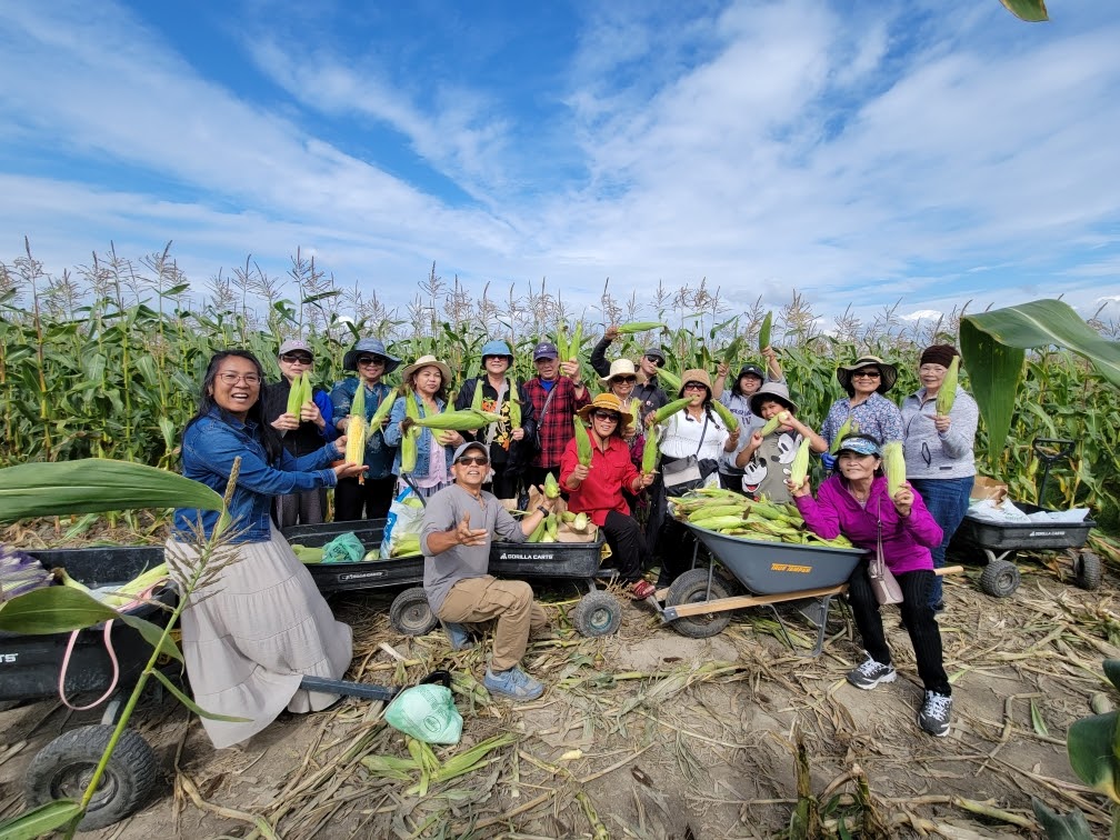 A group of elders stand in front of a corn field