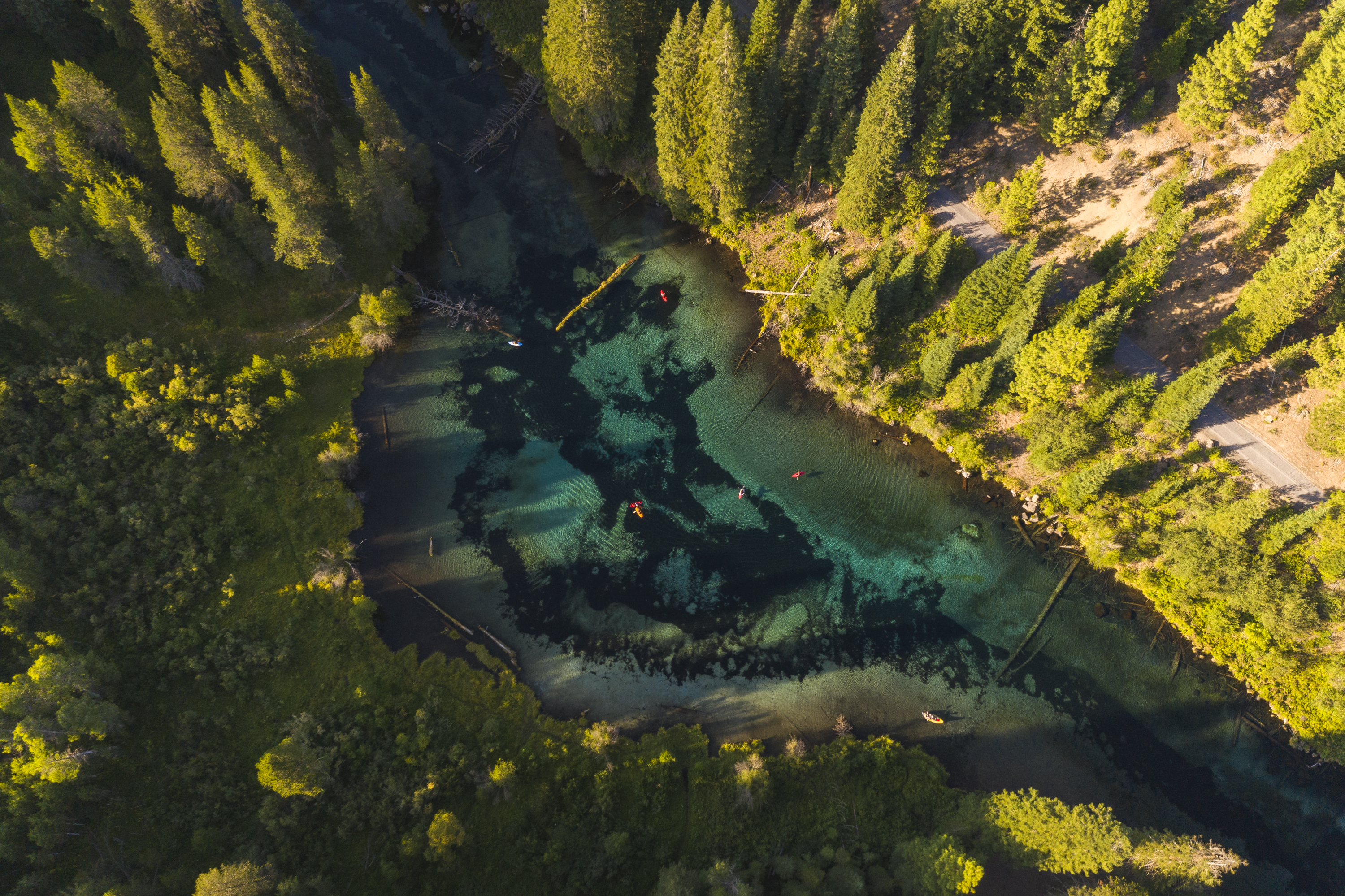 An overhead view of a river in the forest