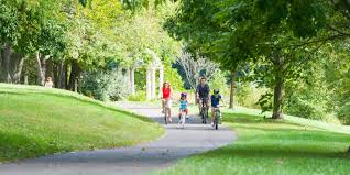 Family on bikes in a park