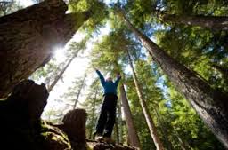 woman in forest