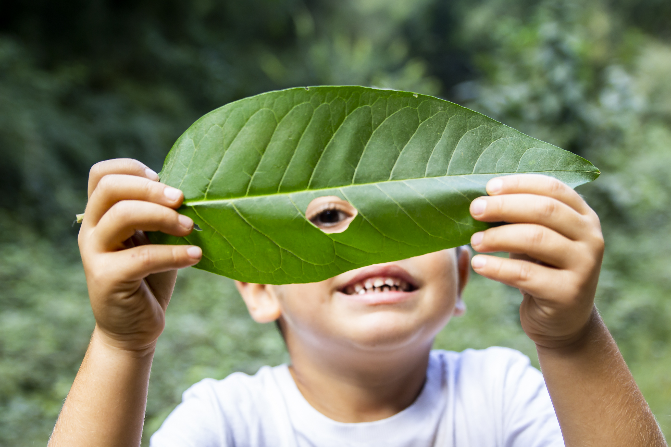 boy looking through leaf