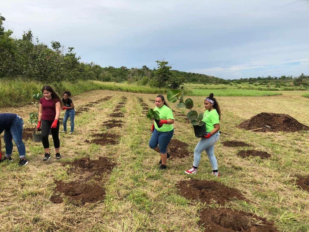 Para La Naturaleza creates opportunities for Boys & Girls Clubs of Puerto Rico youth to connect with nature and to actively engage in reforestation efforts. Image courtesy of Para La Naturaleza.