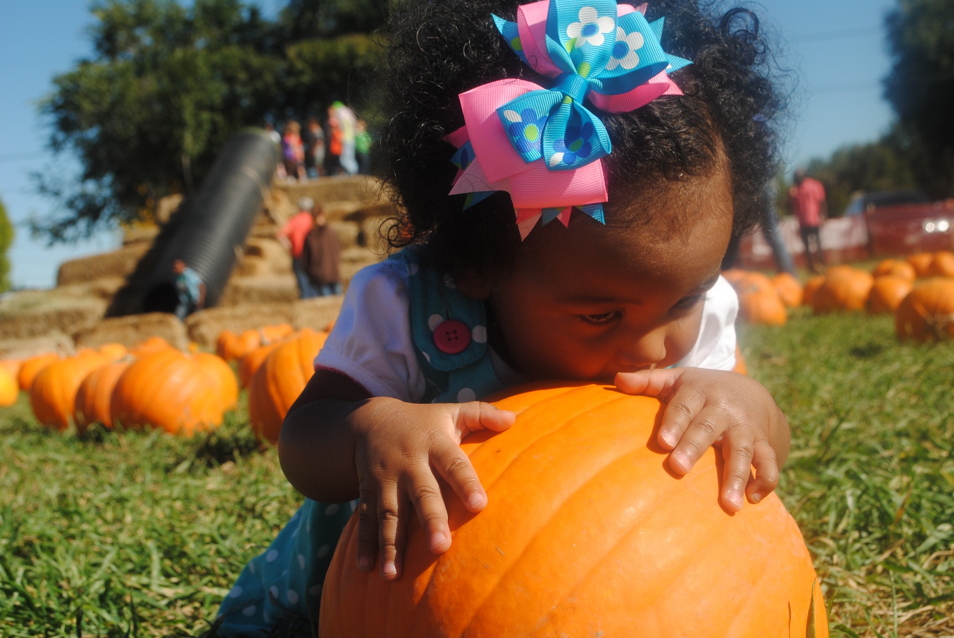 A small girl hugging a pumpkin in a field