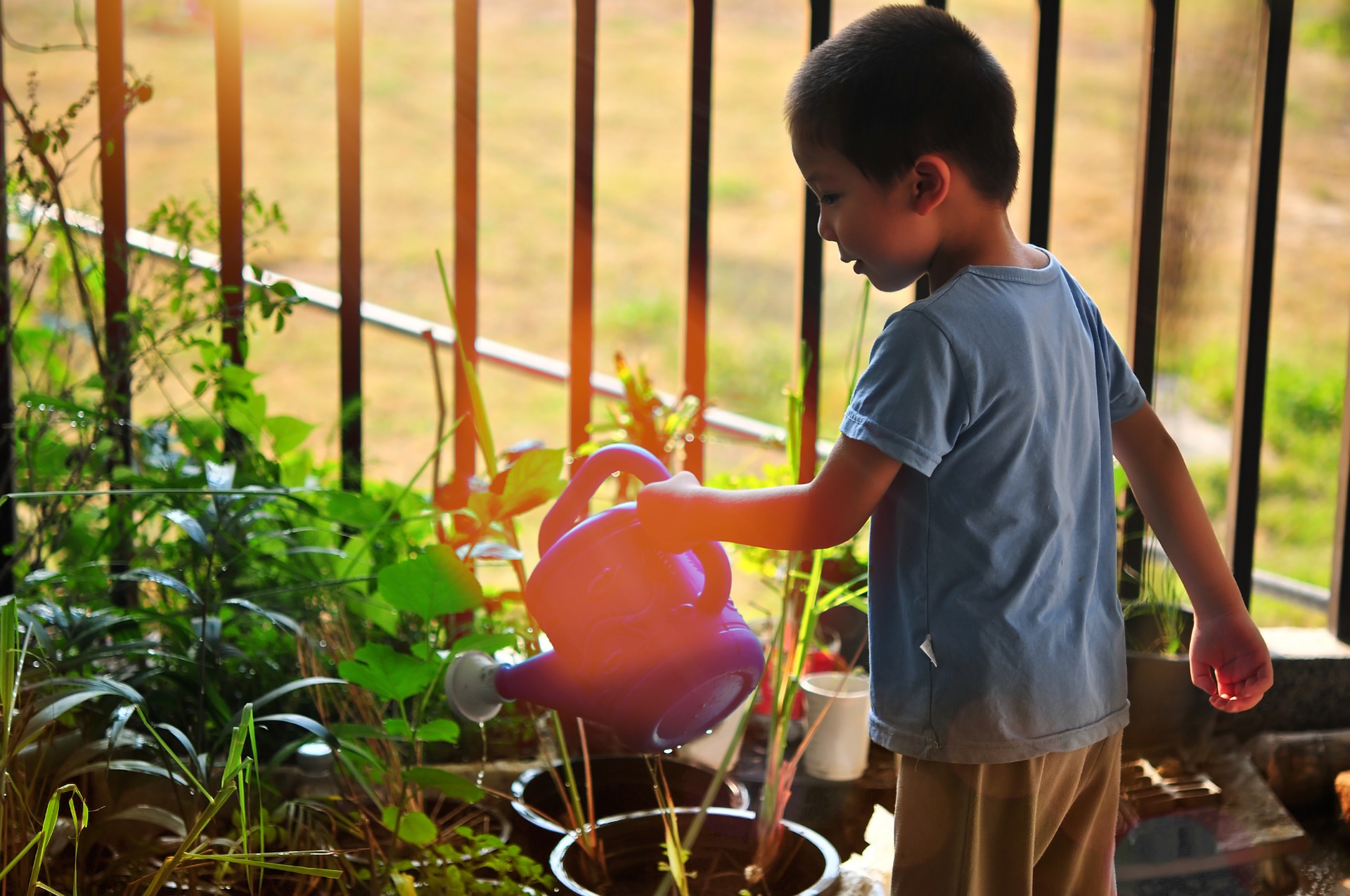 Young boy watering plants