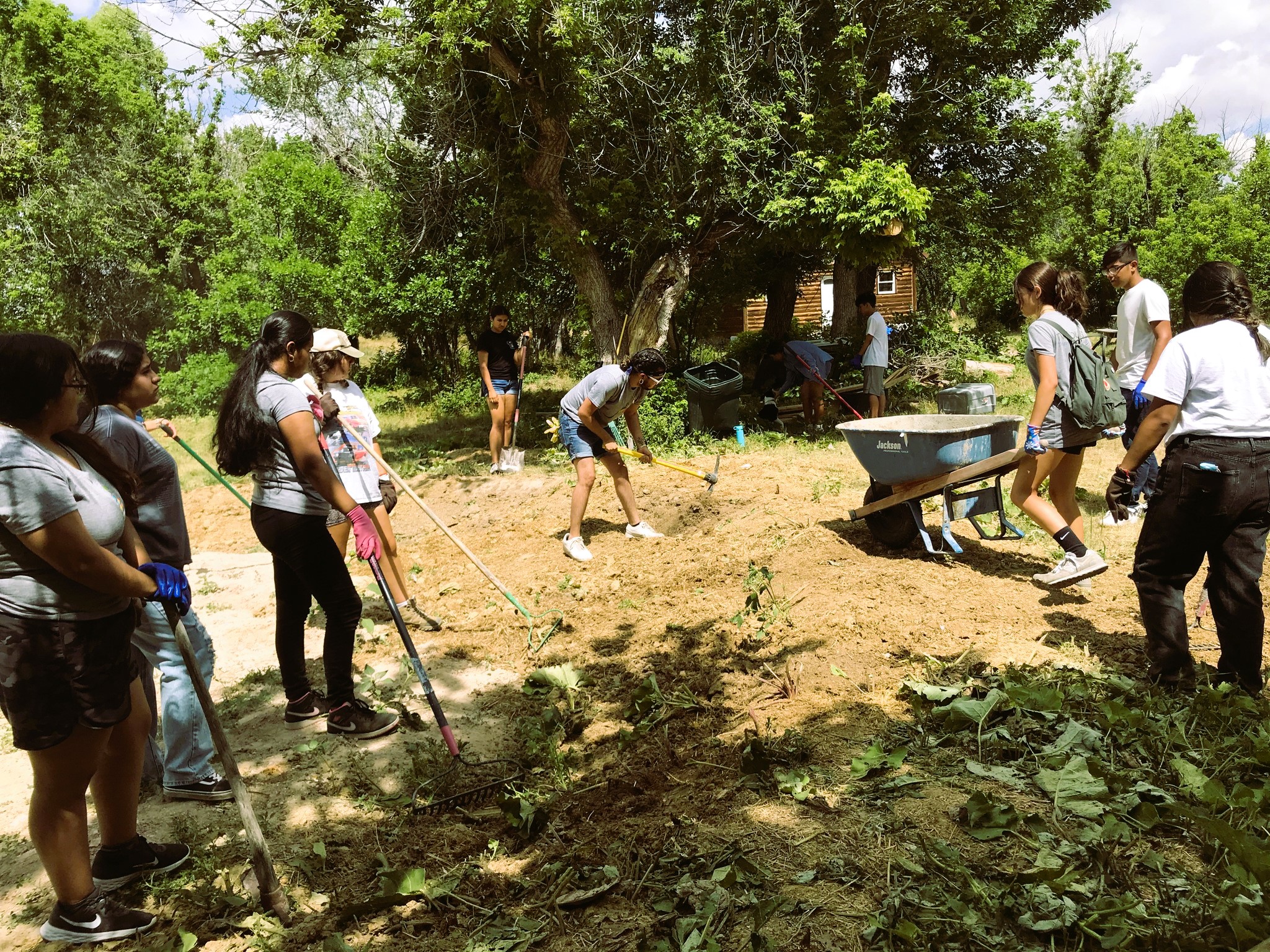 Several people work using tools to plant trees