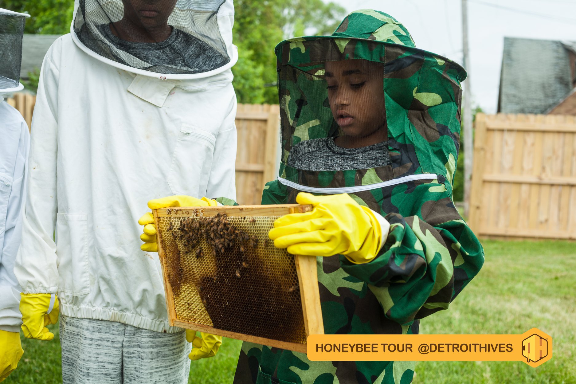 Detroit Hives