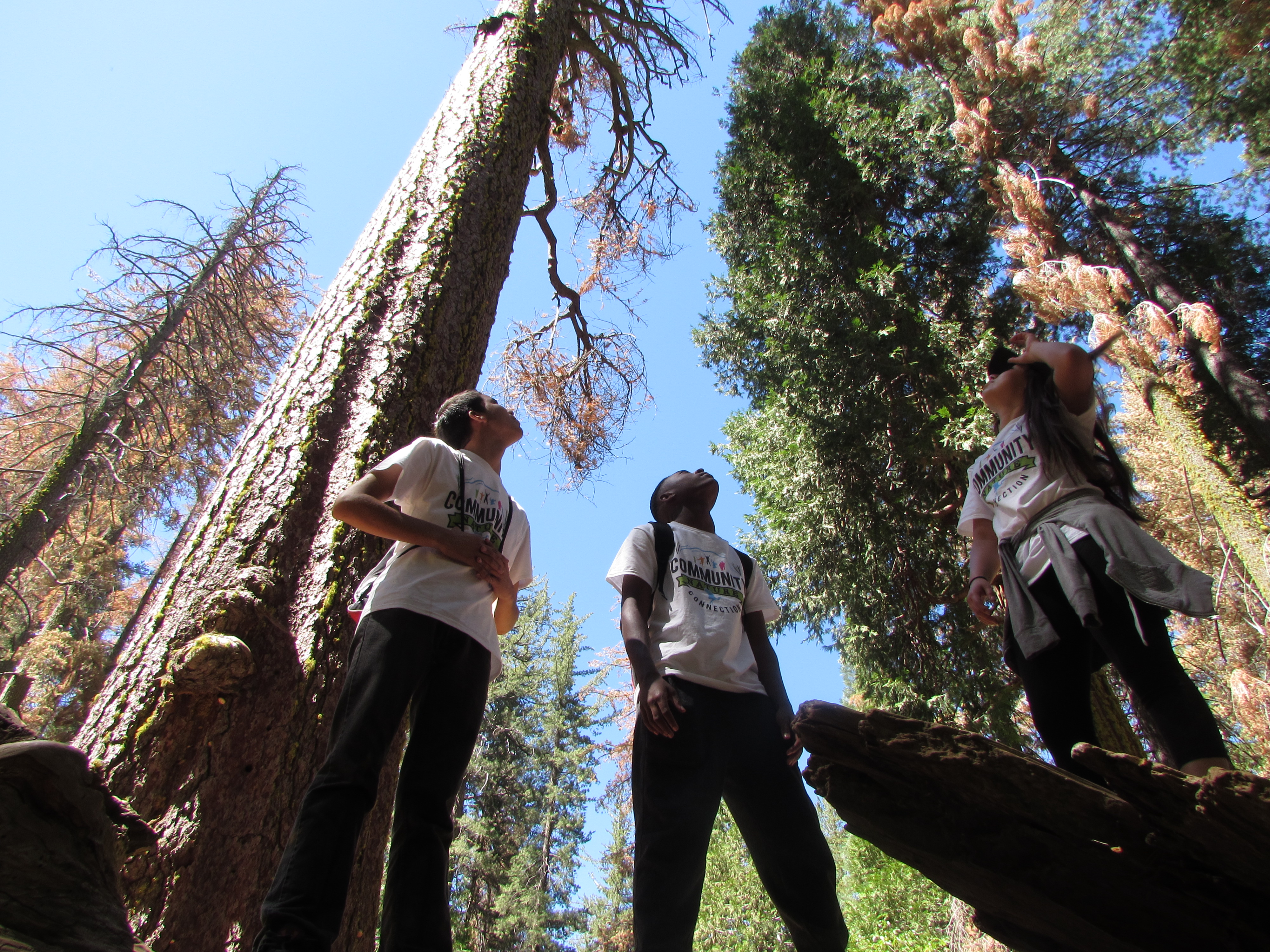 Community Nature Connection