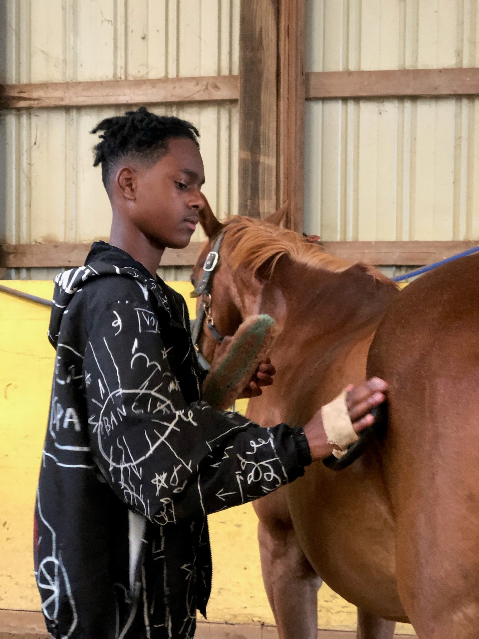 Detroit Horse Power