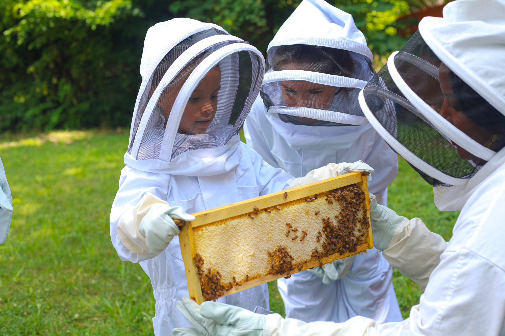 Detroit Hives