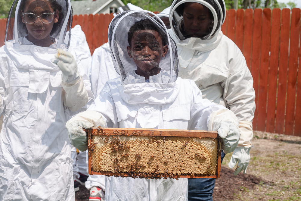 Detroit Hives