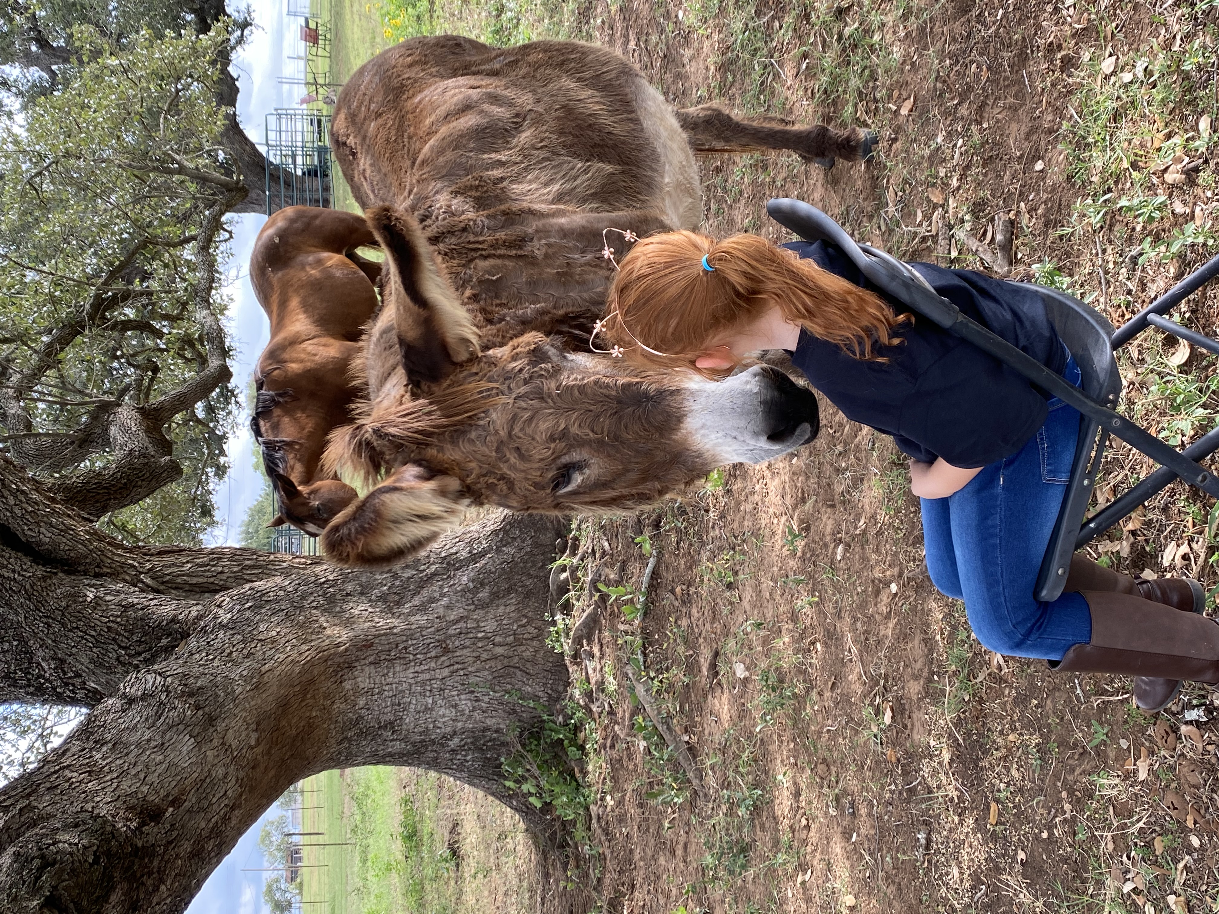 Courage Ranch