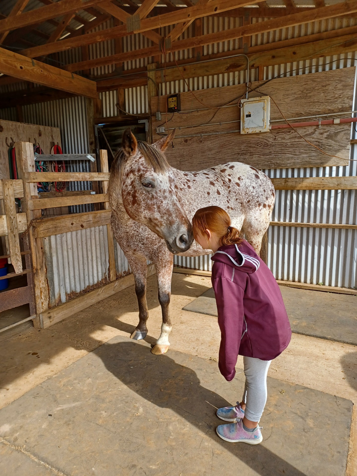 Courage Ranch