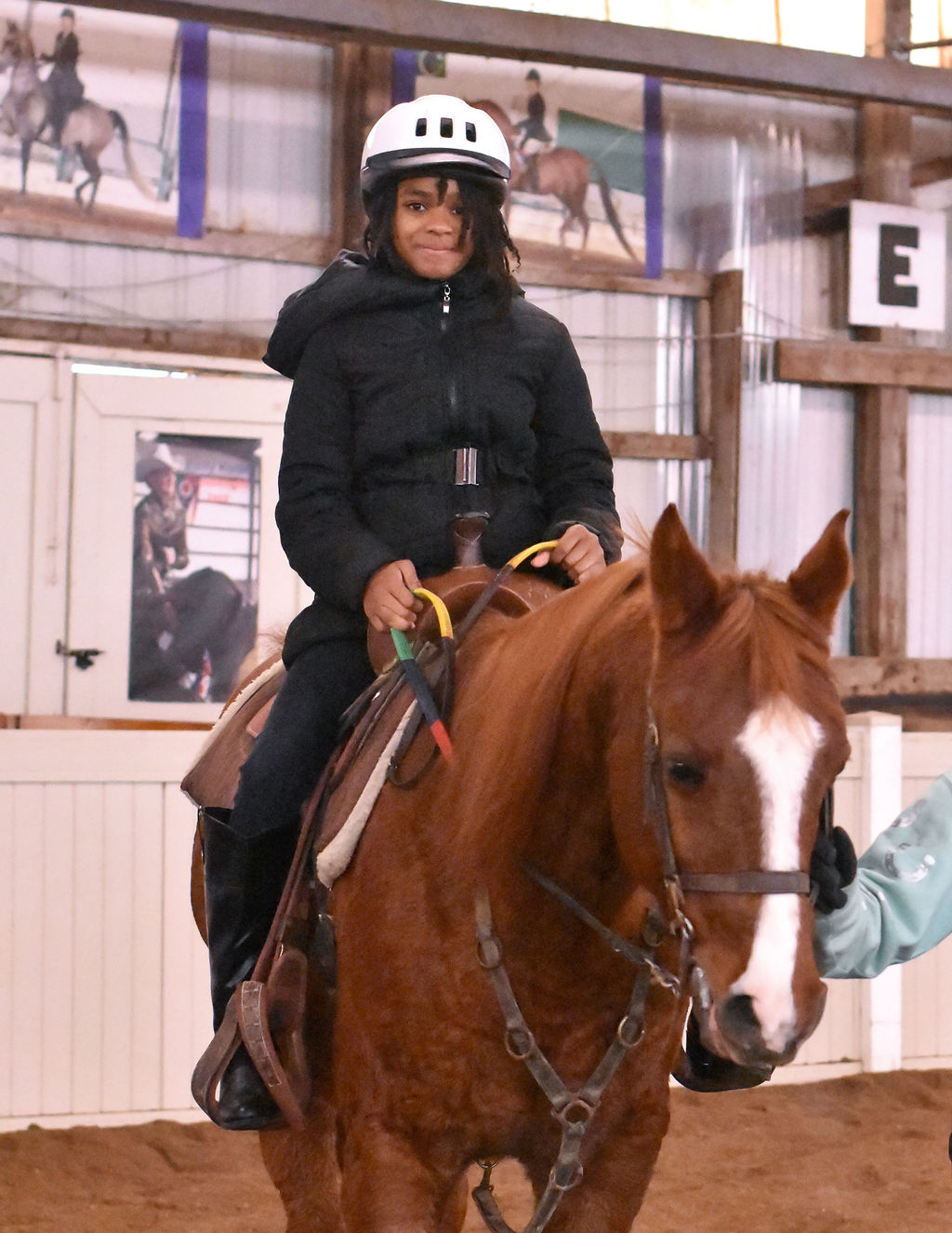 Detroit Horse Power
